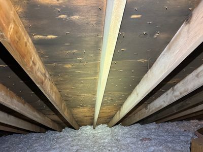 Attic Mold Remediation