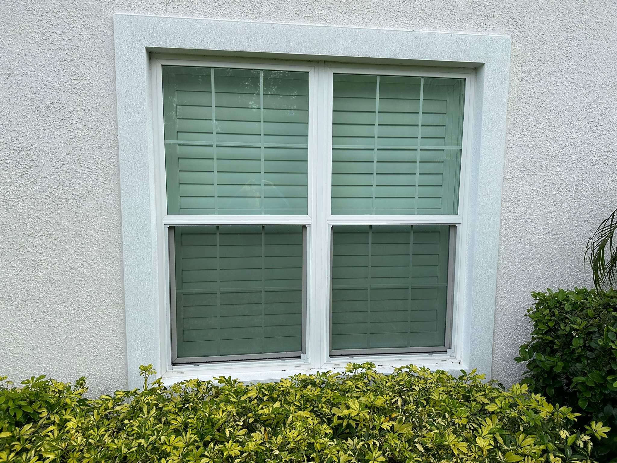 House Wash & Pool Screen Enclosure Cleaning in Winding River Community, Bradenton, FL | Sunshine AquaWash by Sunshine AquaWash