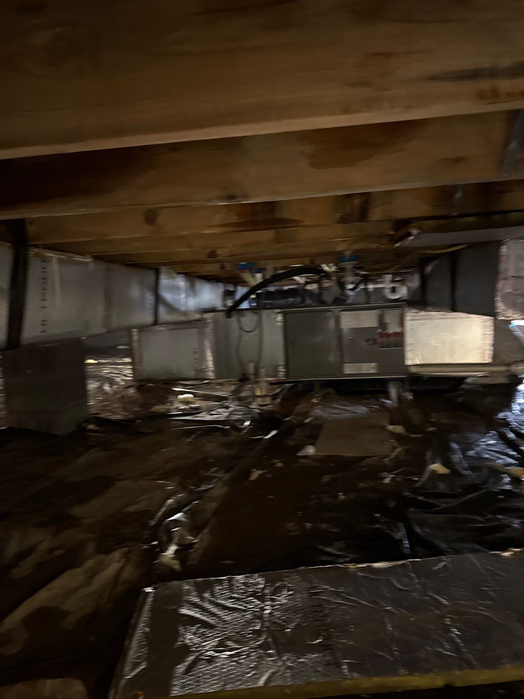 Water Damage& Mold Remediation Project-Dover, DE. by Healthy Home Solutions