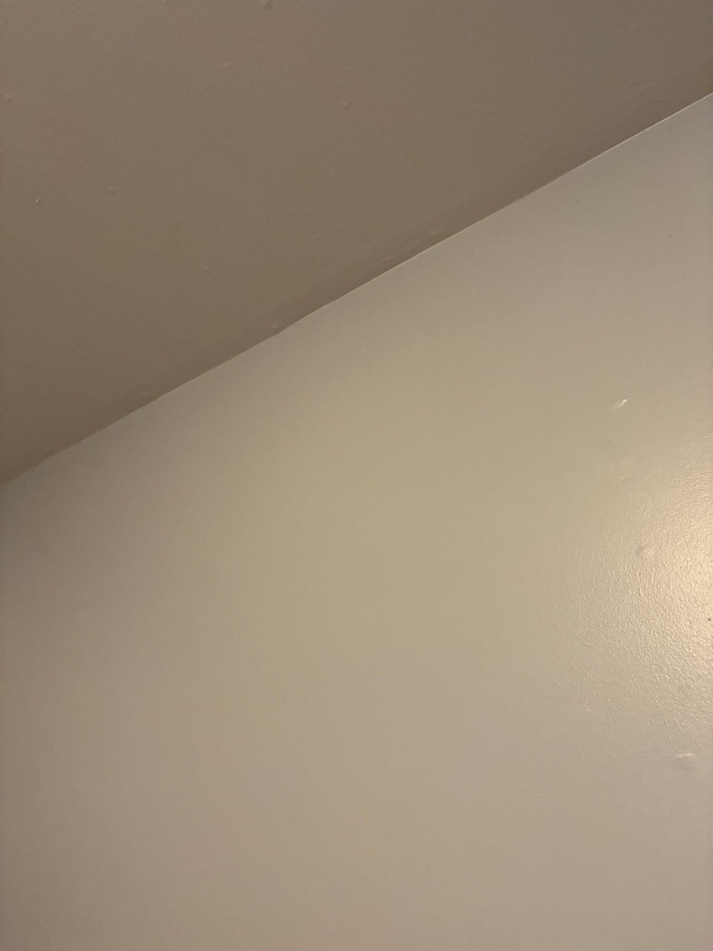 Interior Renovation Featuring New Lighting and Electrical Updates in Denver by CompanyCam Sales Demo