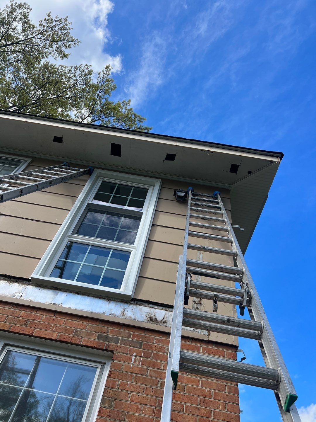 Arlington: Multi-Trade Exterior Remodel by RM Banning, Inc.