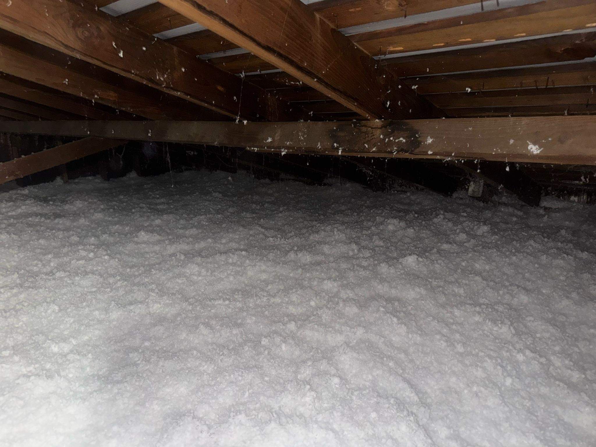 Project by Advanced Attic Solutions by Advanced Attic Solutions