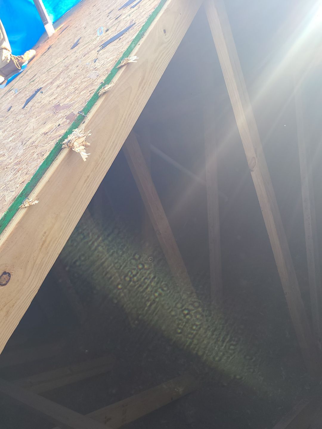 Centreville: Residential Roof Replacement with CertainTeed Landmark Pro Designer Shingles in Max Def Charcoal Black by RM Banning, Inc.