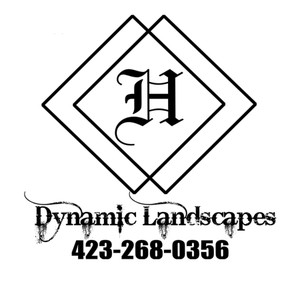 Logo for Dynamic Landscapes, Inc.