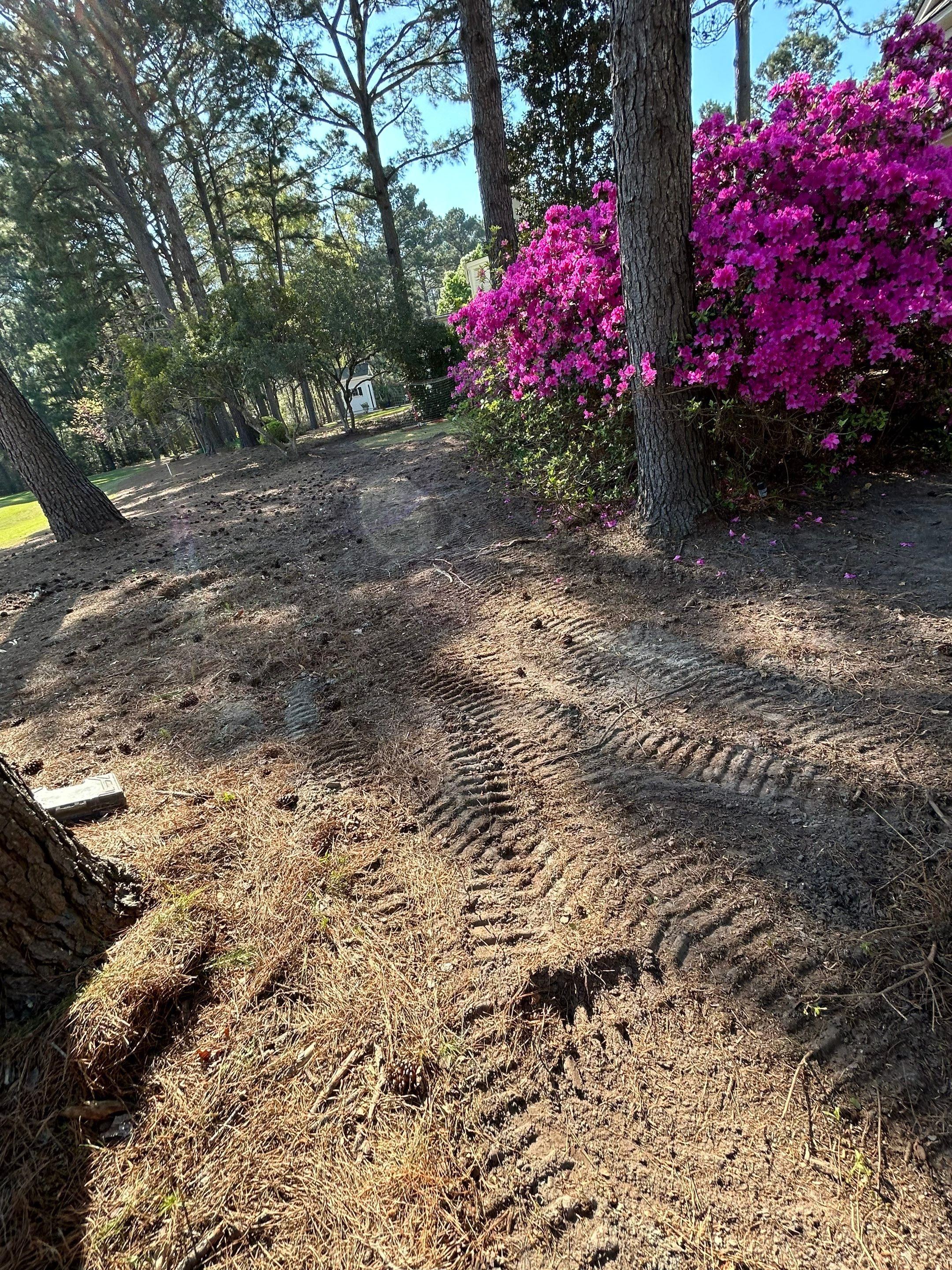 Comprehensive Landscape Design and Custom Hardscape Installation in Bluffton by Lowcountry Scapes, LLC