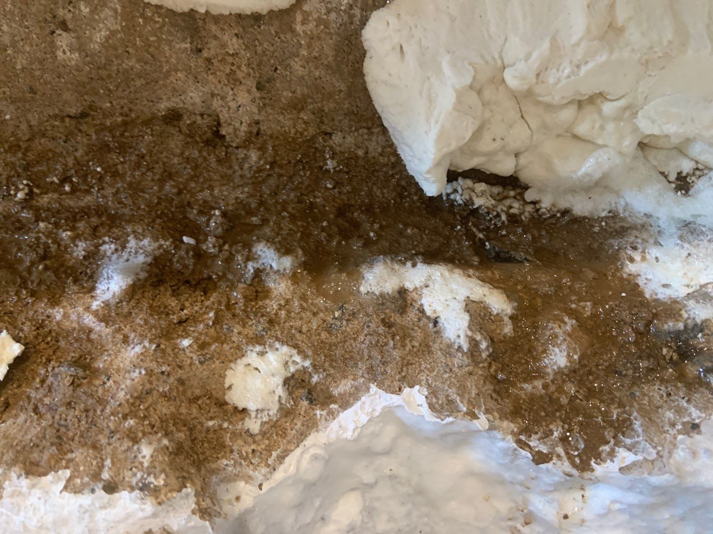Fixing a Persistent Leak for Dustin in New Brighton by Waterproofing Northeast