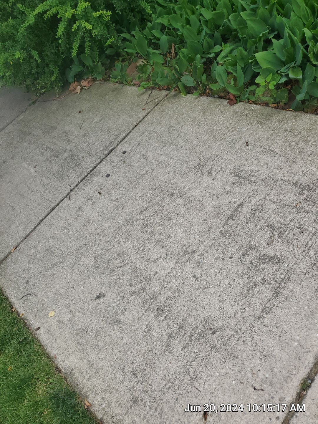 concrete cleaning using Algaecide, soft wash soap by Northern Power Washing LLC.