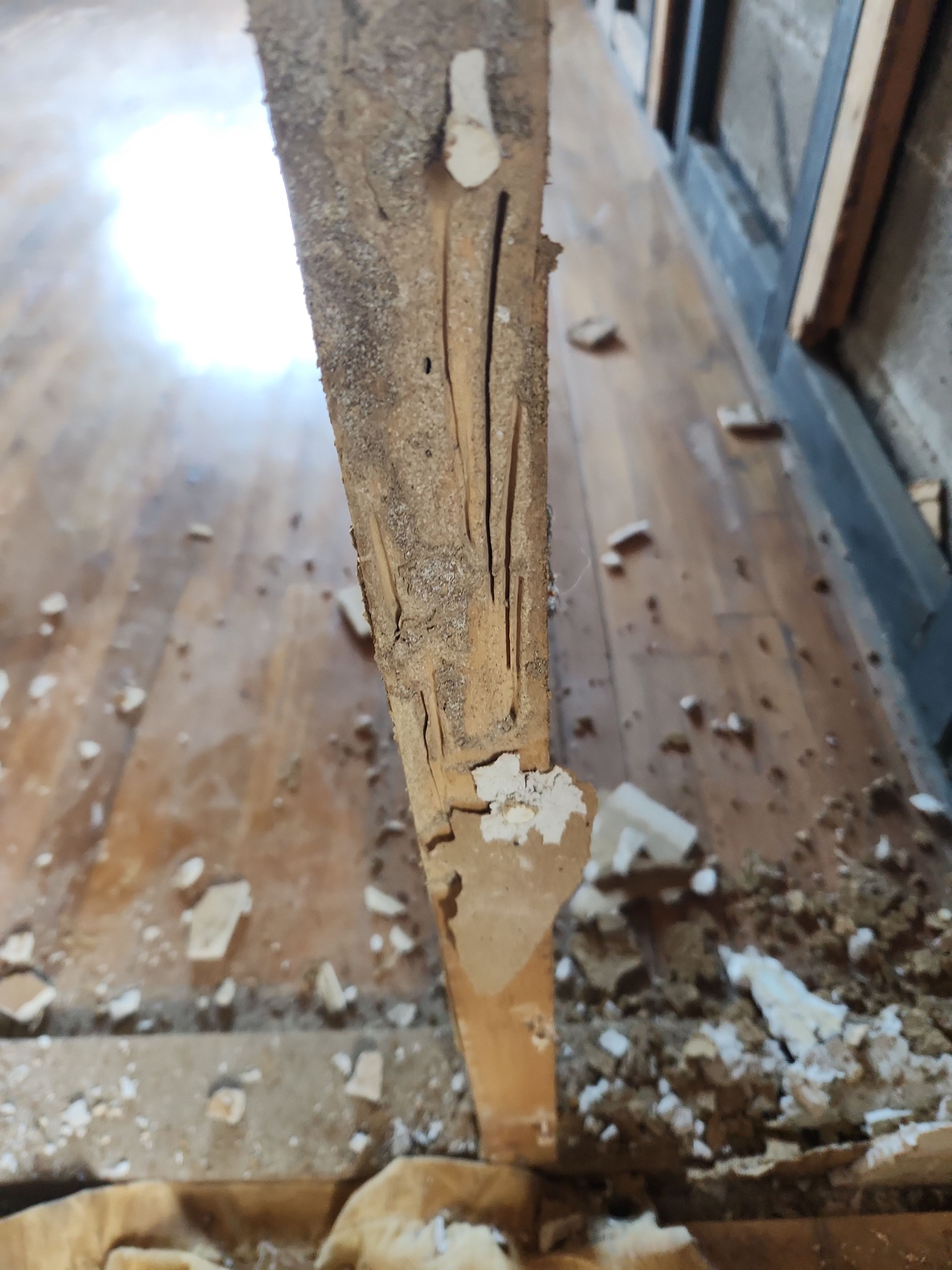 Project in Bridgeport by Duarte’s Roofing 