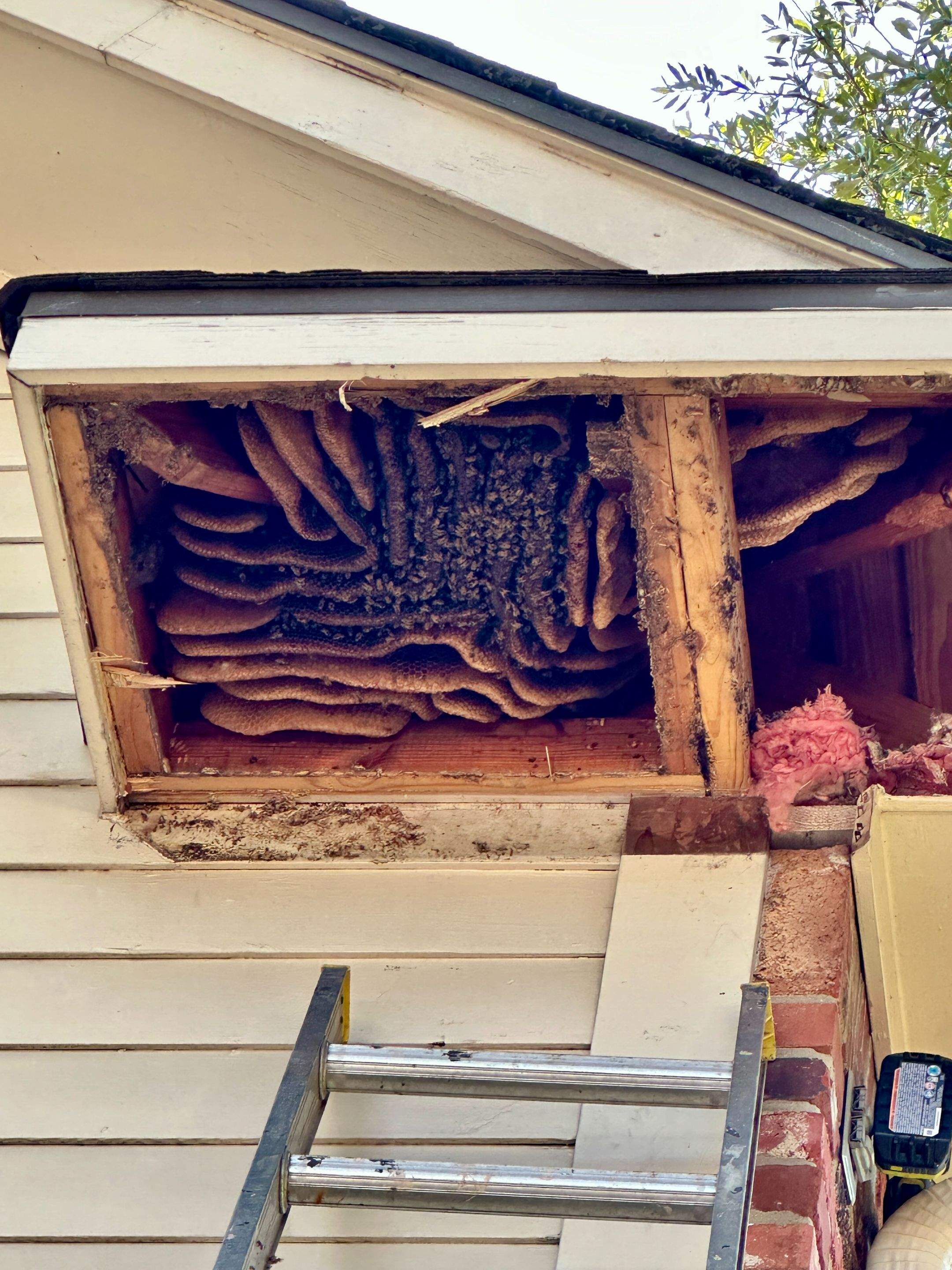 Last of 2025 by Rockwall Honey Bee Company