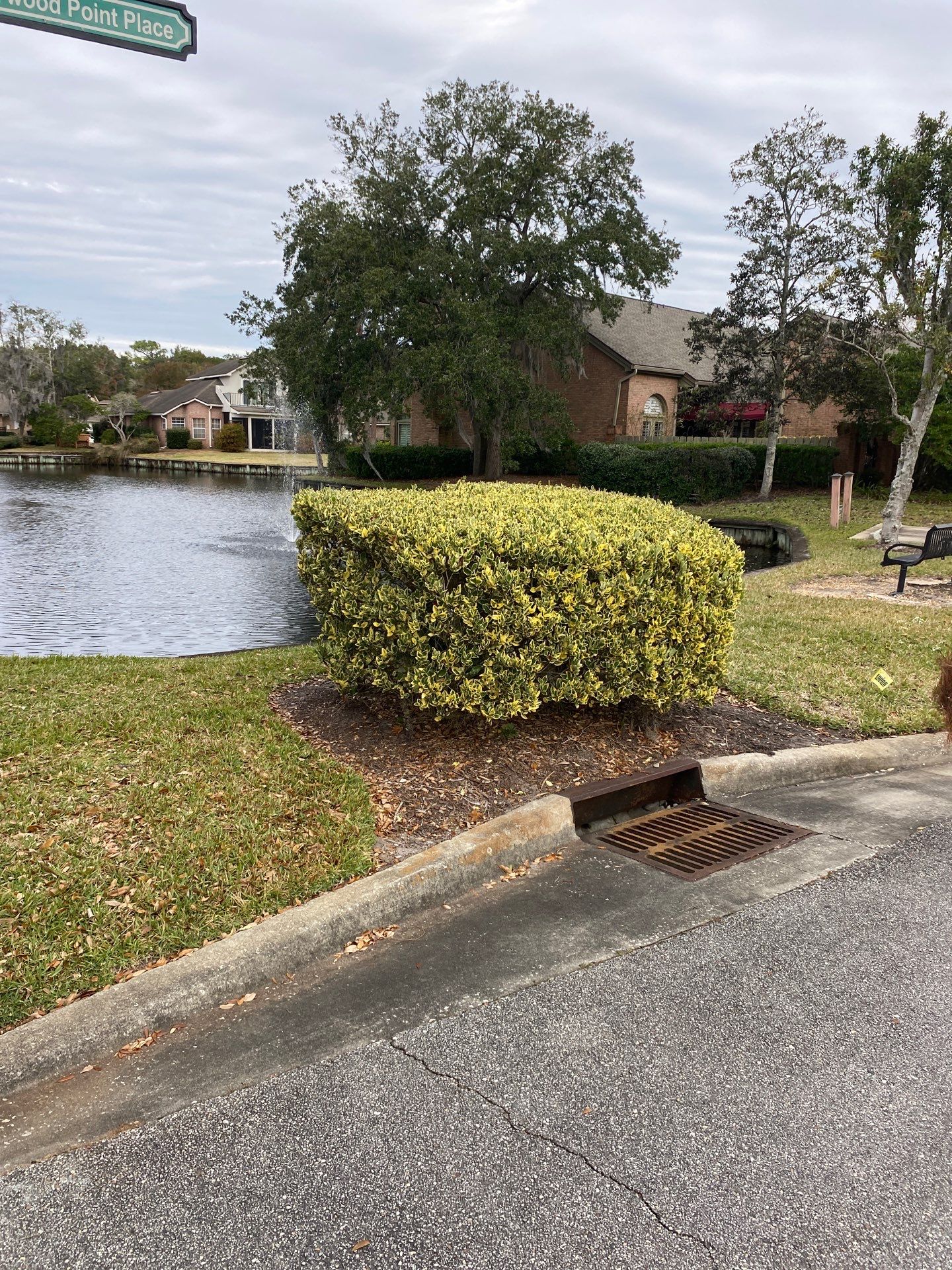 Deerwood Pointe | Tree Removal & Pine Straw Installation by ProGreen Services