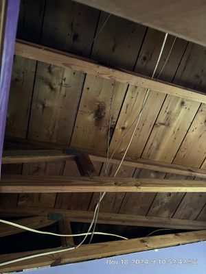 Mold Remediation