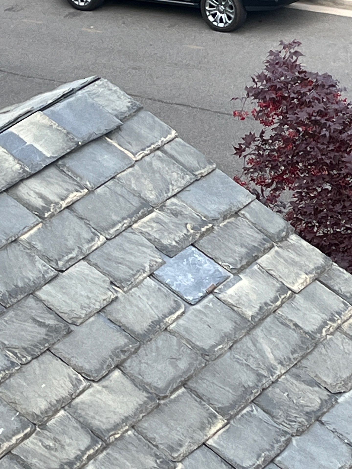 Arlington: Buckingham Slate and Carlisle Syntec TPO Roof by RM Banning, Inc.