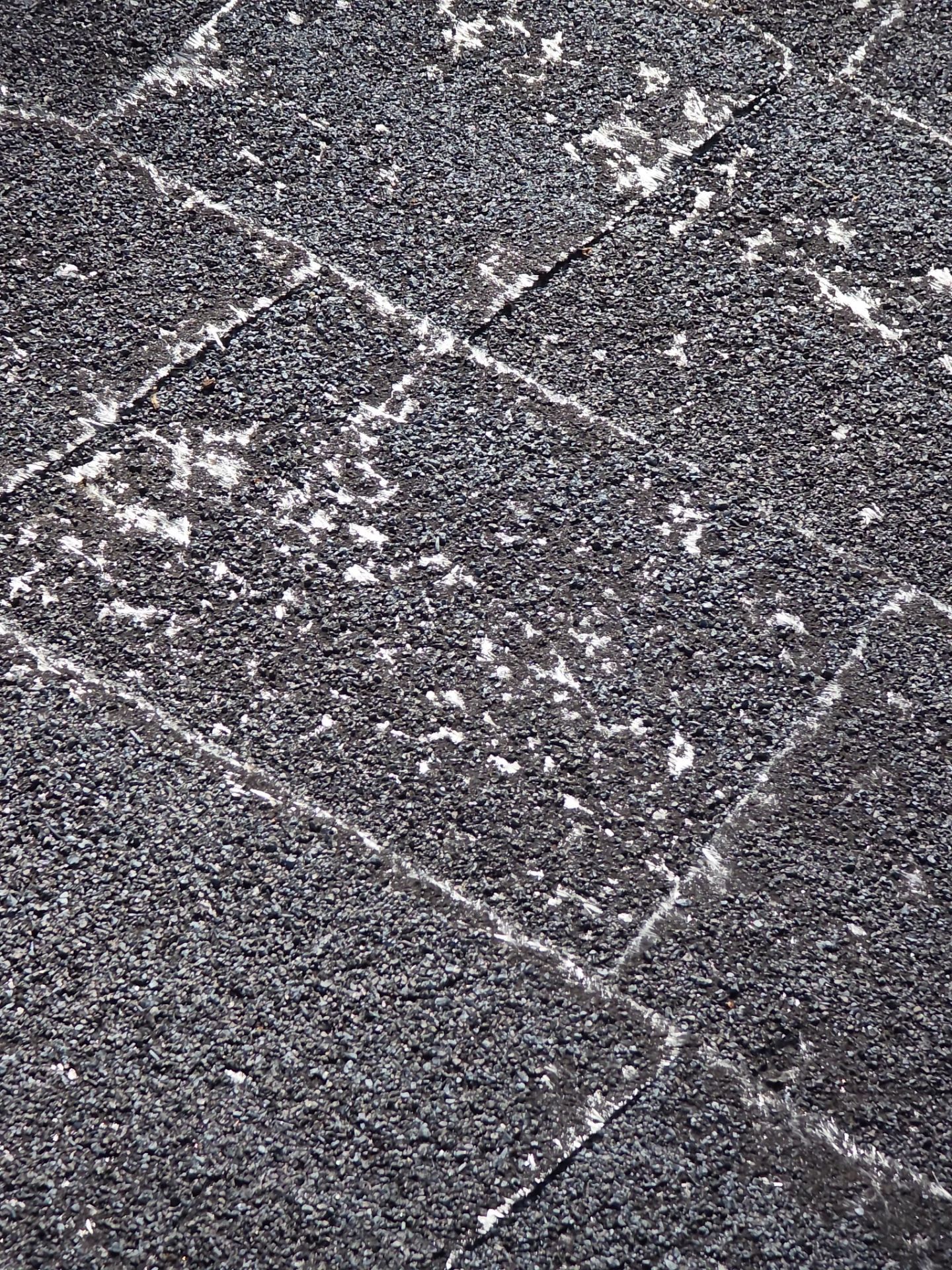 Roof Rejuvenation using Roof Maxx Treatment by Roof Maxx of Folsom