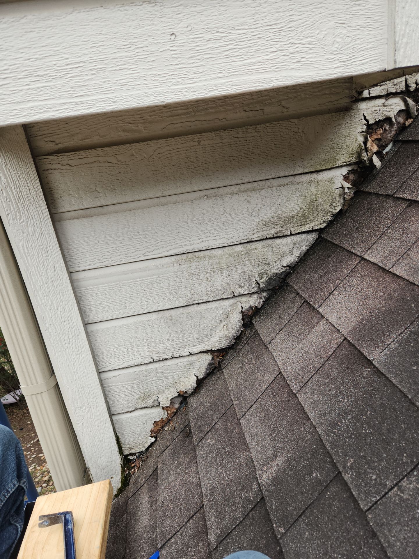 Hardie Plank Siding Repair — Misty Cove, Austin TX by RejuveNate Renovations LLC