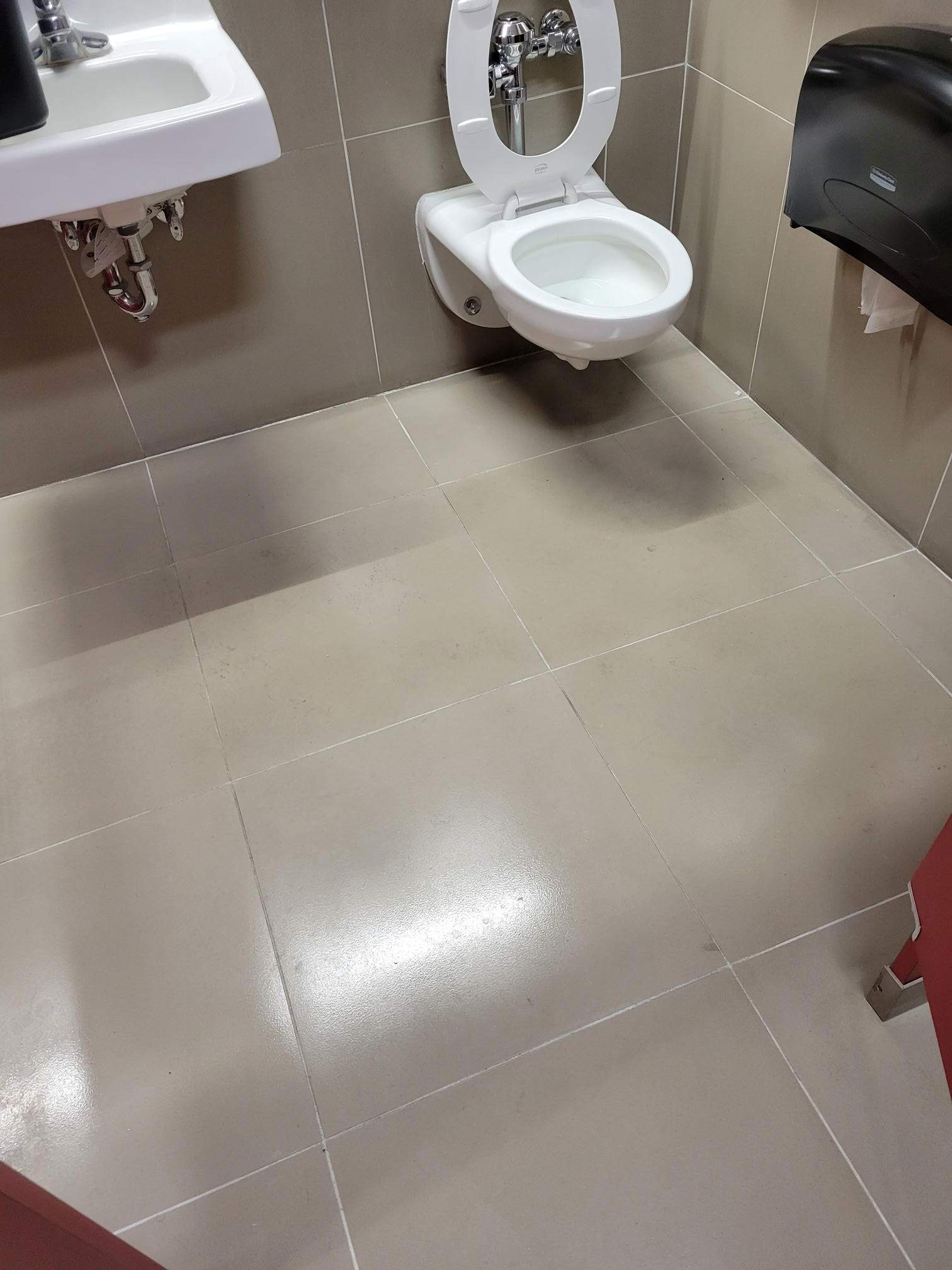 SaniGlaze Removal and reconditioning using CareGuard by Corporate Care