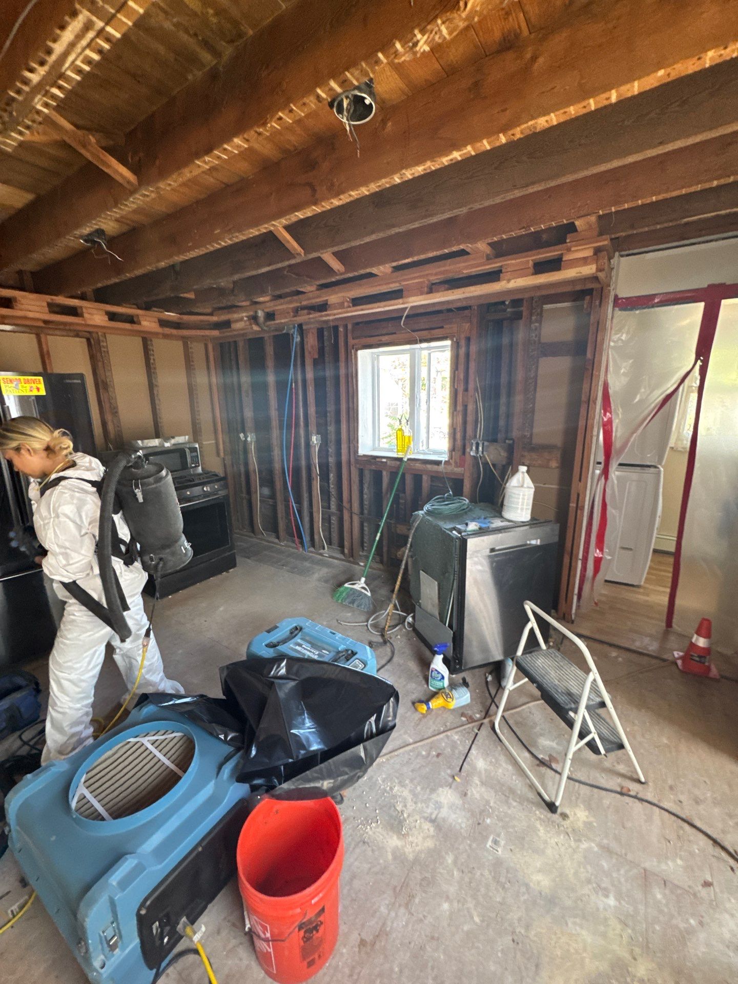 Comprehensive Mold Remediation and Kitchen Restoration in East Islip
