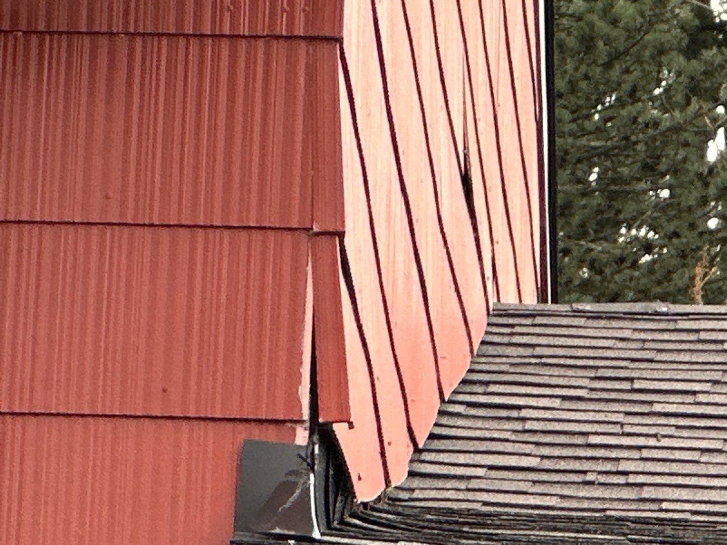 Graphite Shingles by Reimagine Roofing