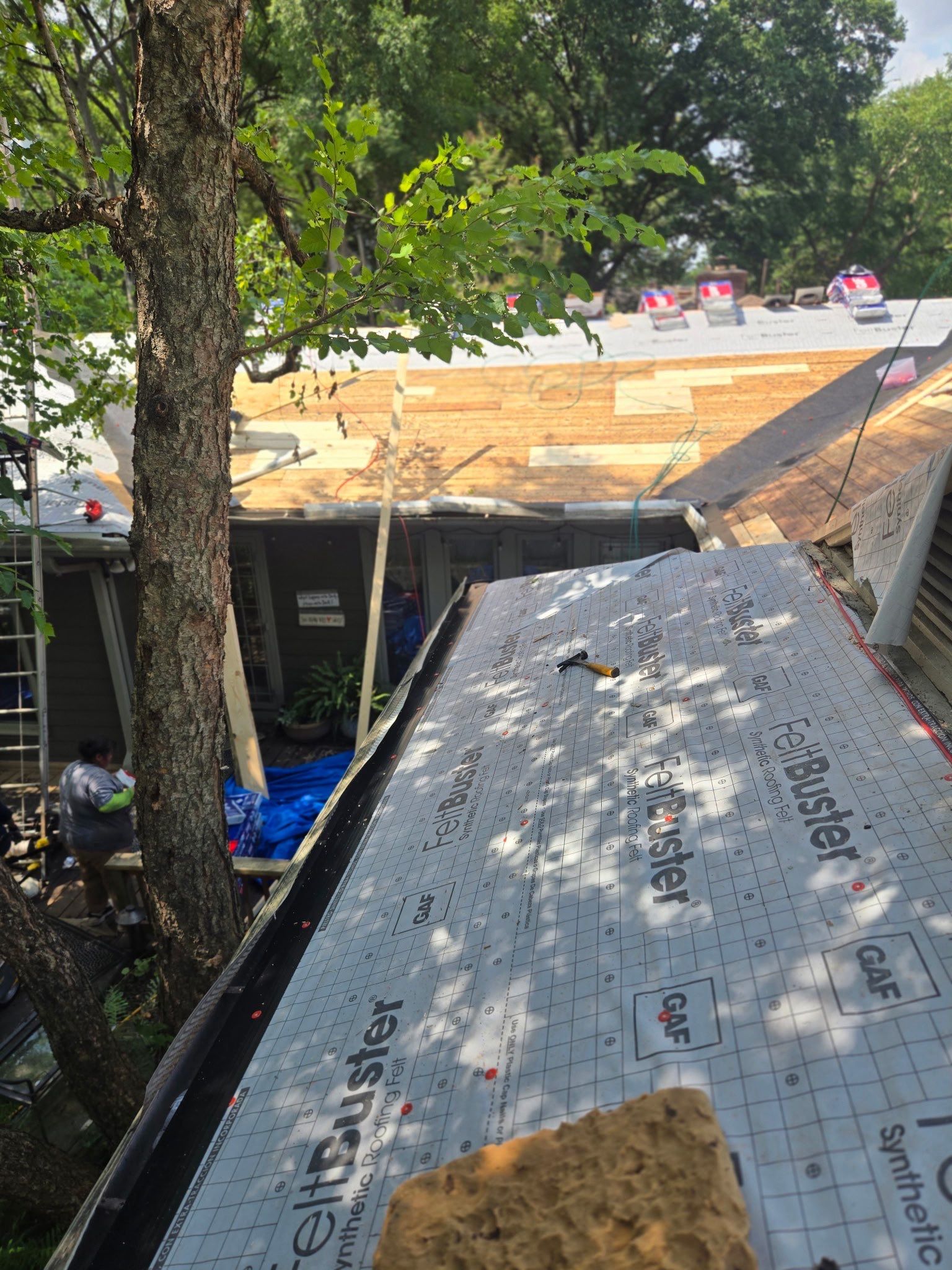 Tree Damage Restoration and Asphalt Shingle Roof Replacement in Memphis by Revival Roofing Services