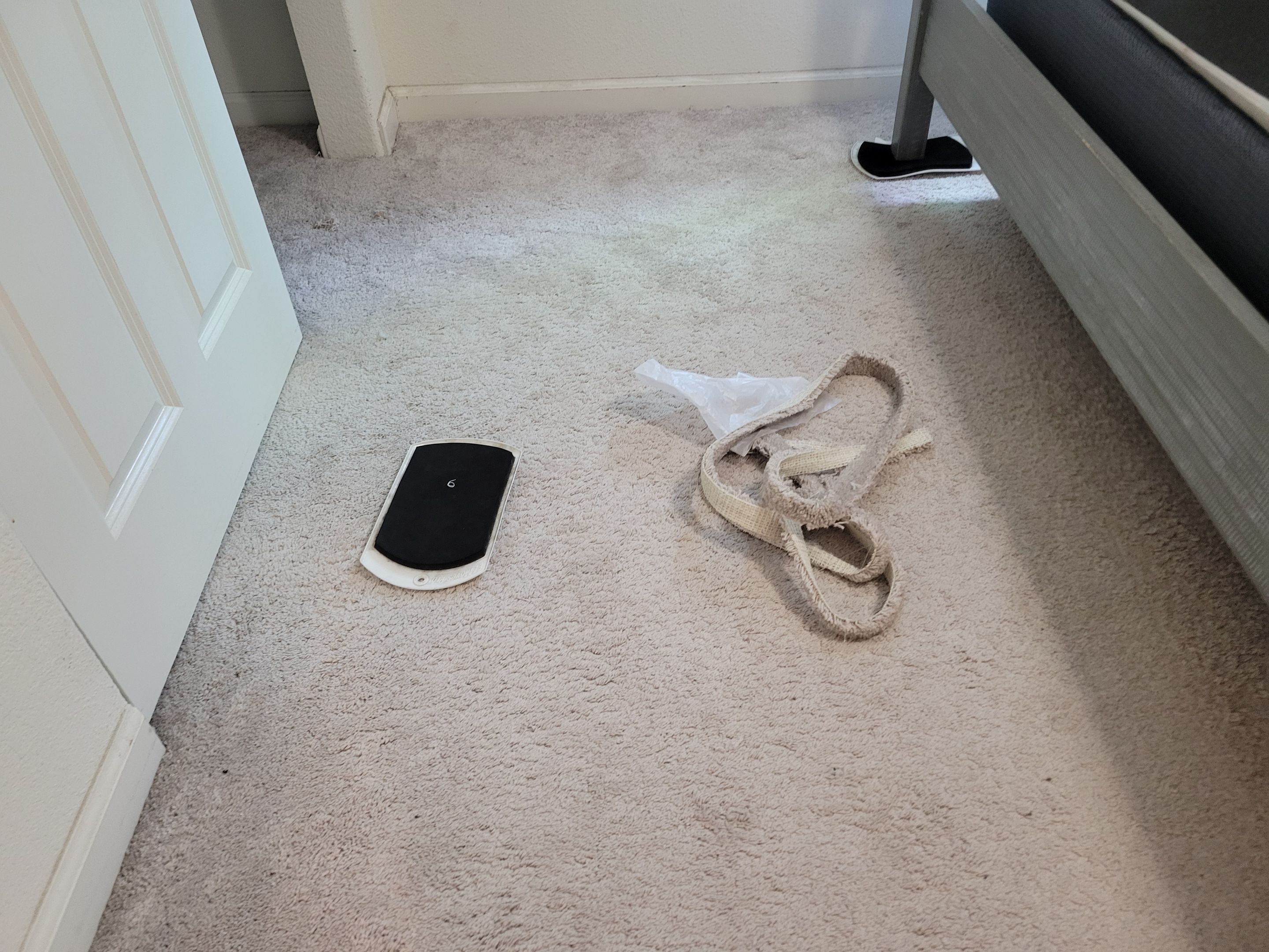 Re-Stretch and Cleaning of a Buckled Carpet by Ardent Carpet Restore LLC