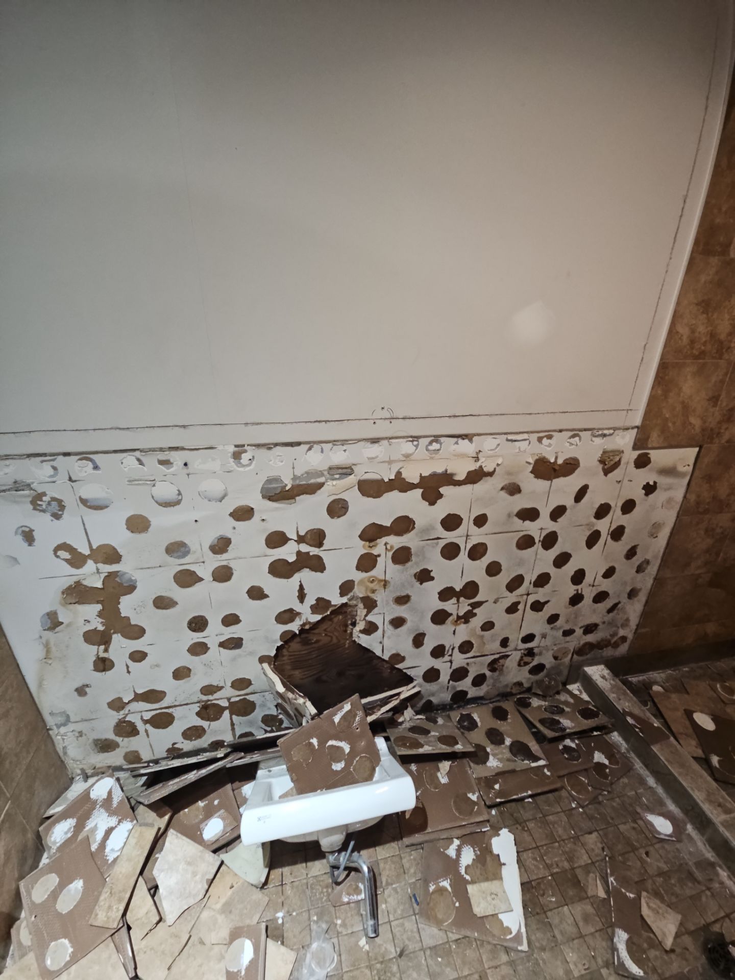 Mold removal and new shower Installation  by Eco-Nature Construction Inc.