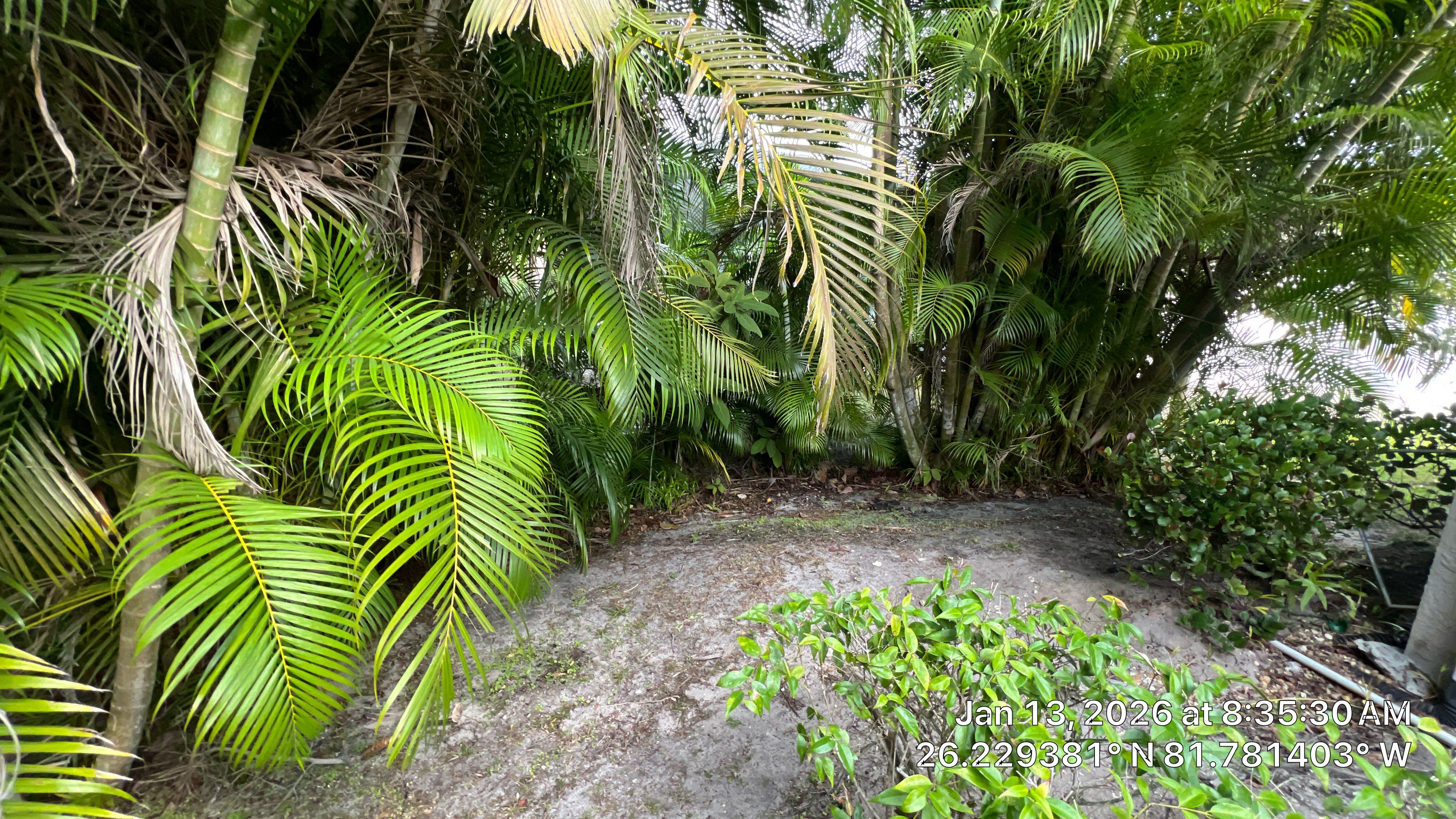 Naples Community Root Intrusion Investigation with P.R.S. by APS Power & Water