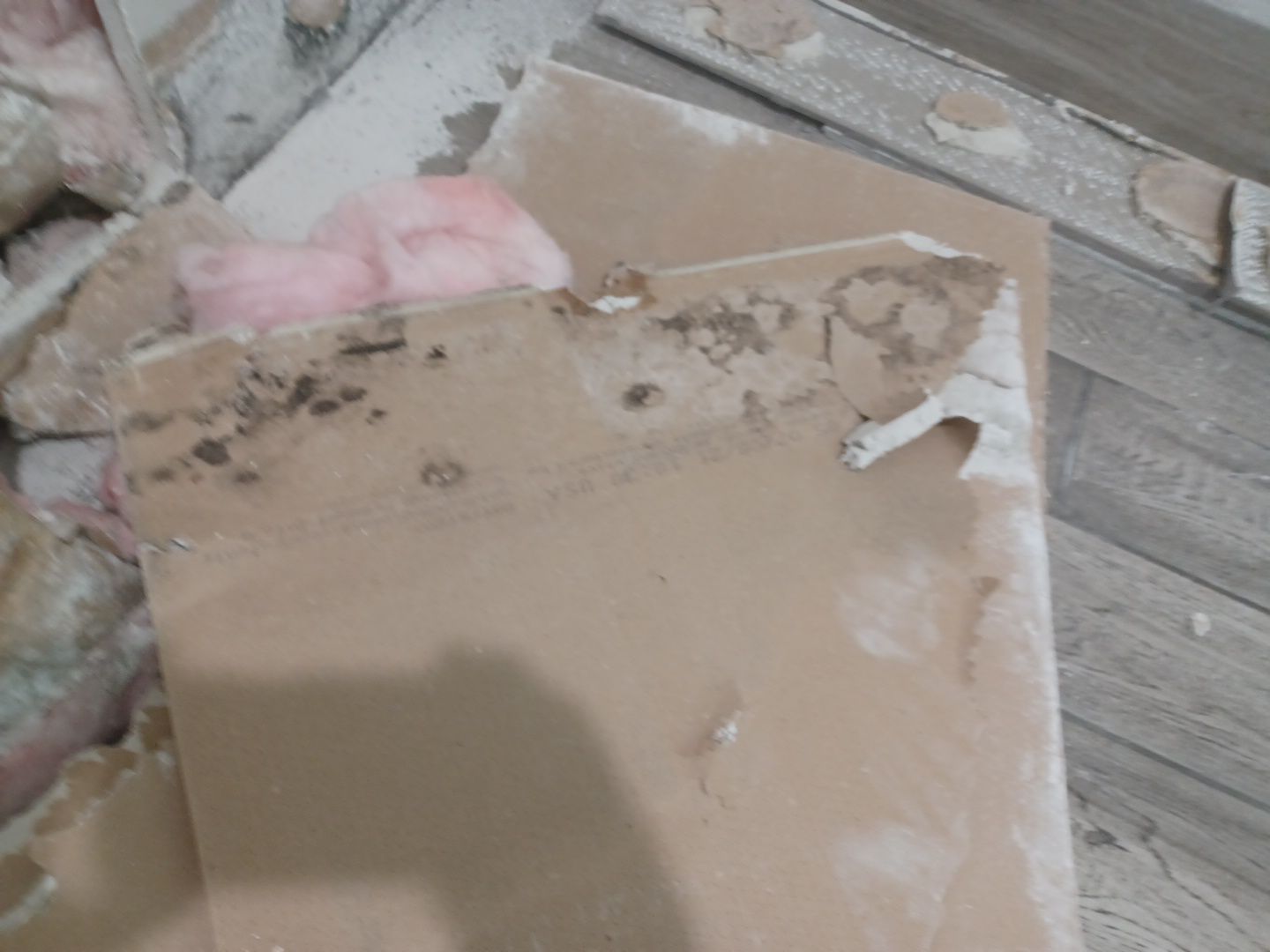 Project in Monroe by EzDry Water Mitigation & Property Restoration