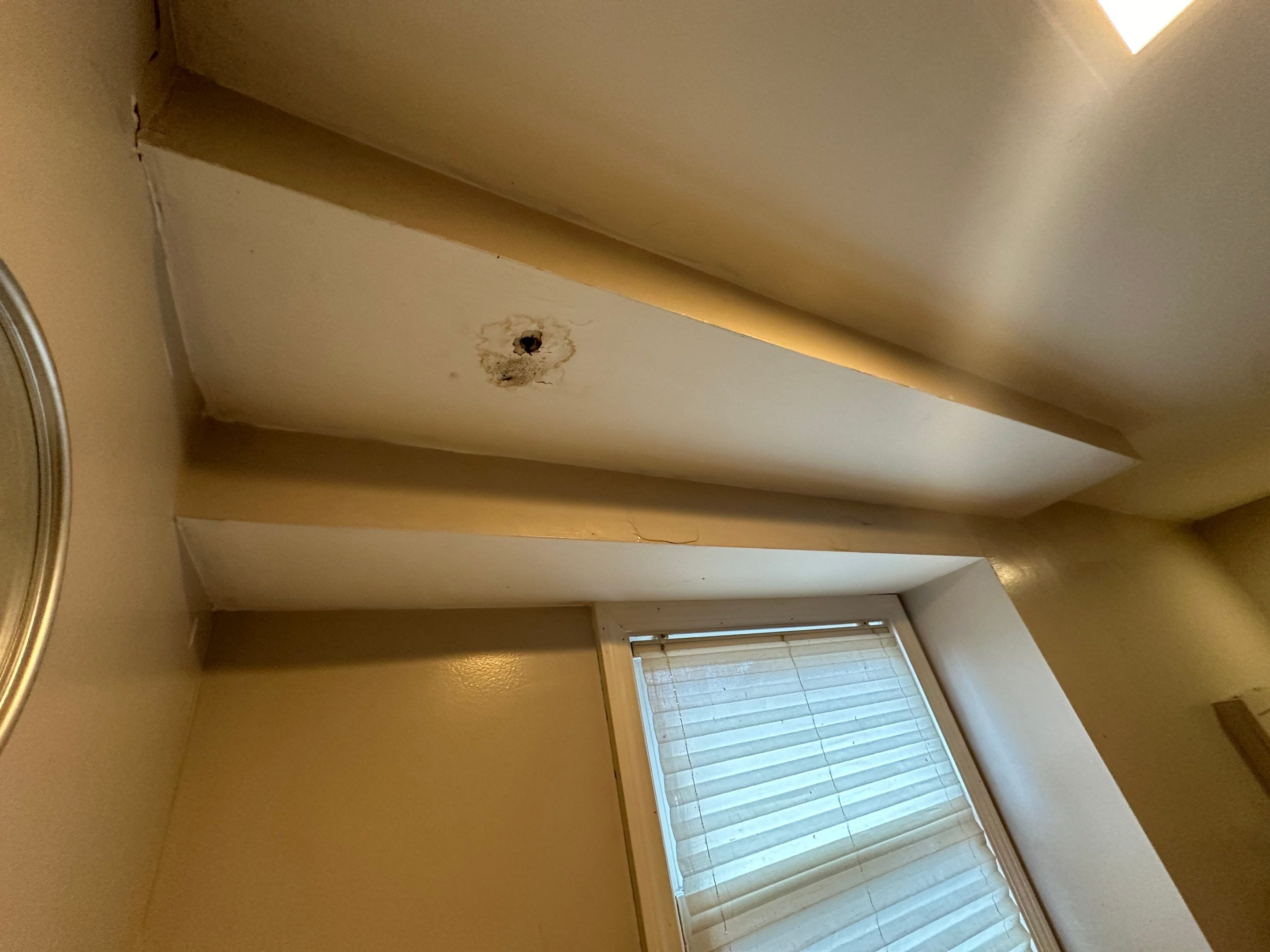 Basement Mold Remediation by Home Guarantee, LLC