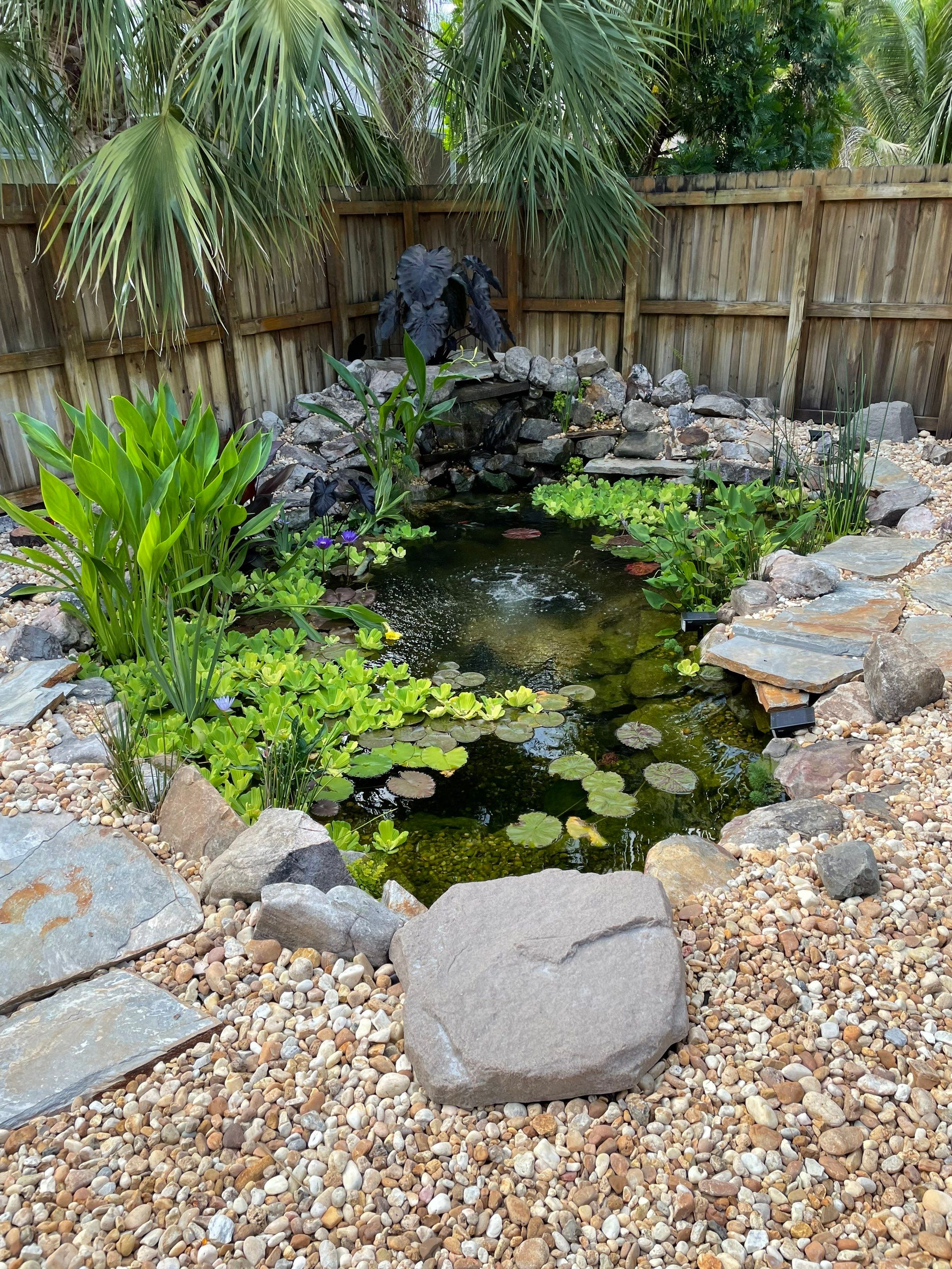 Small Koi Pond by Nature's Dream Landscape and Tree Service