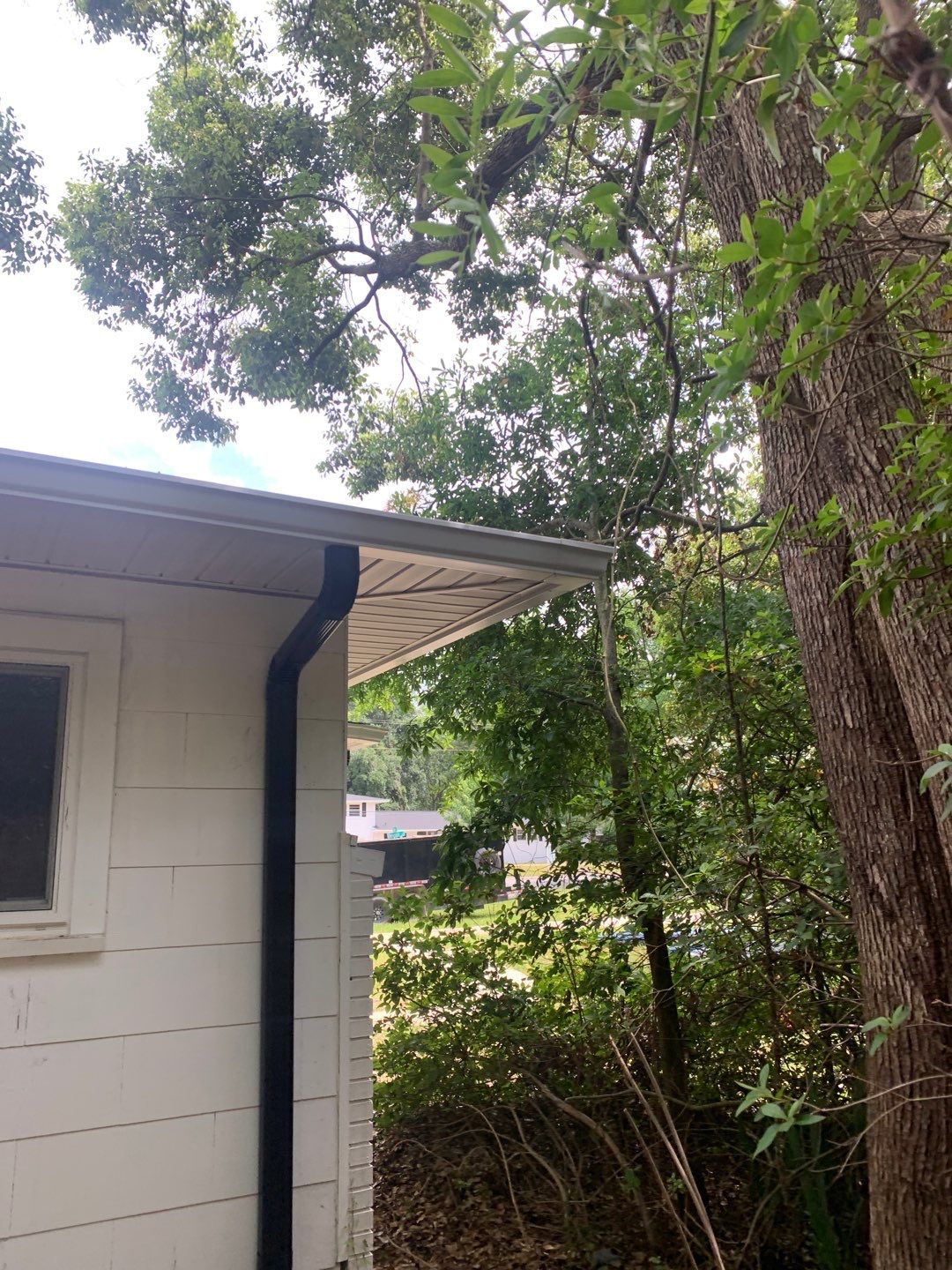 White Seamless Gutters and Black Downspouts by Gutter Professors