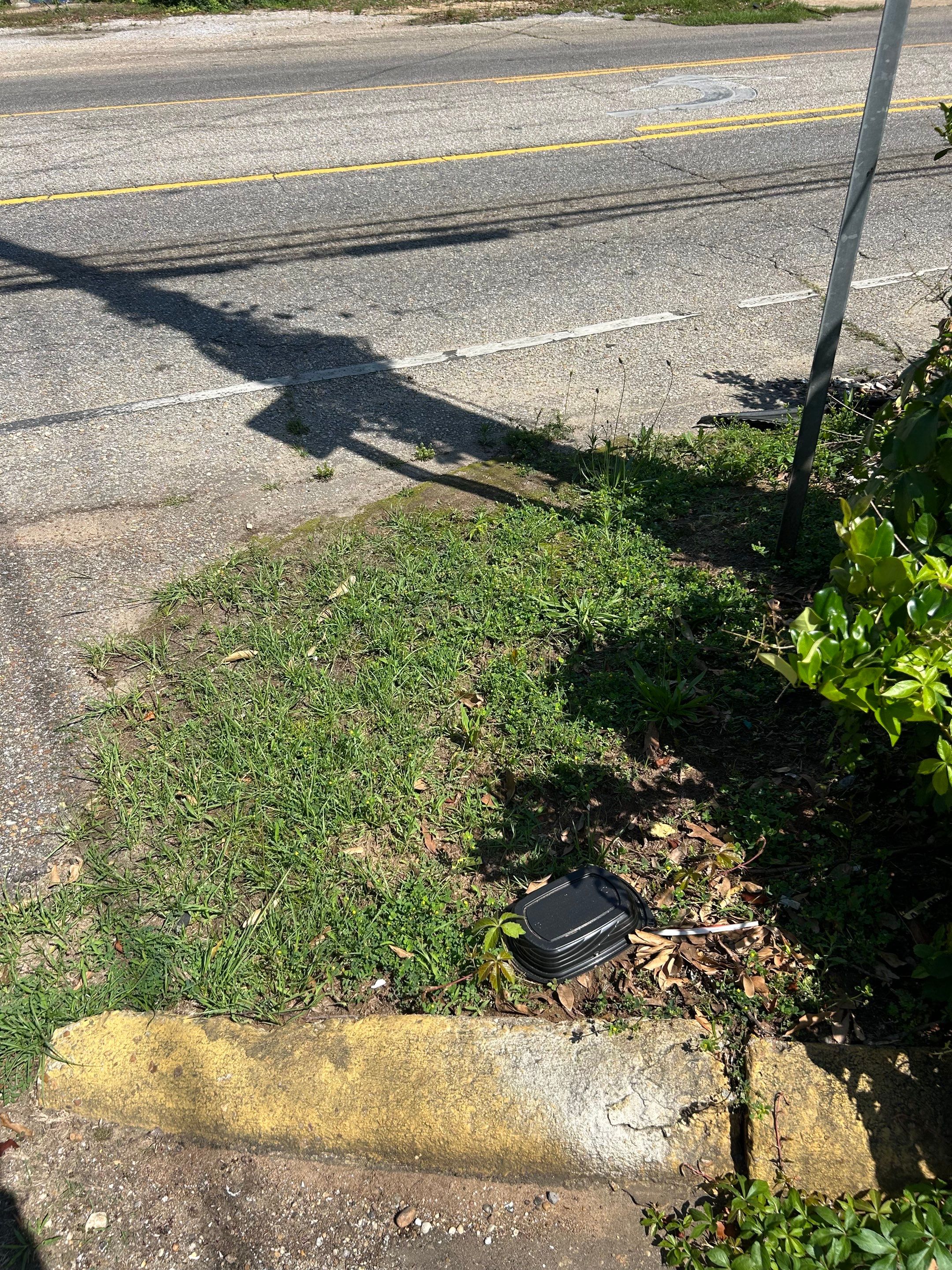 Commercial Exterior Maintenance and Lawn Care in Montgomery by BTops Landscaping Inc.