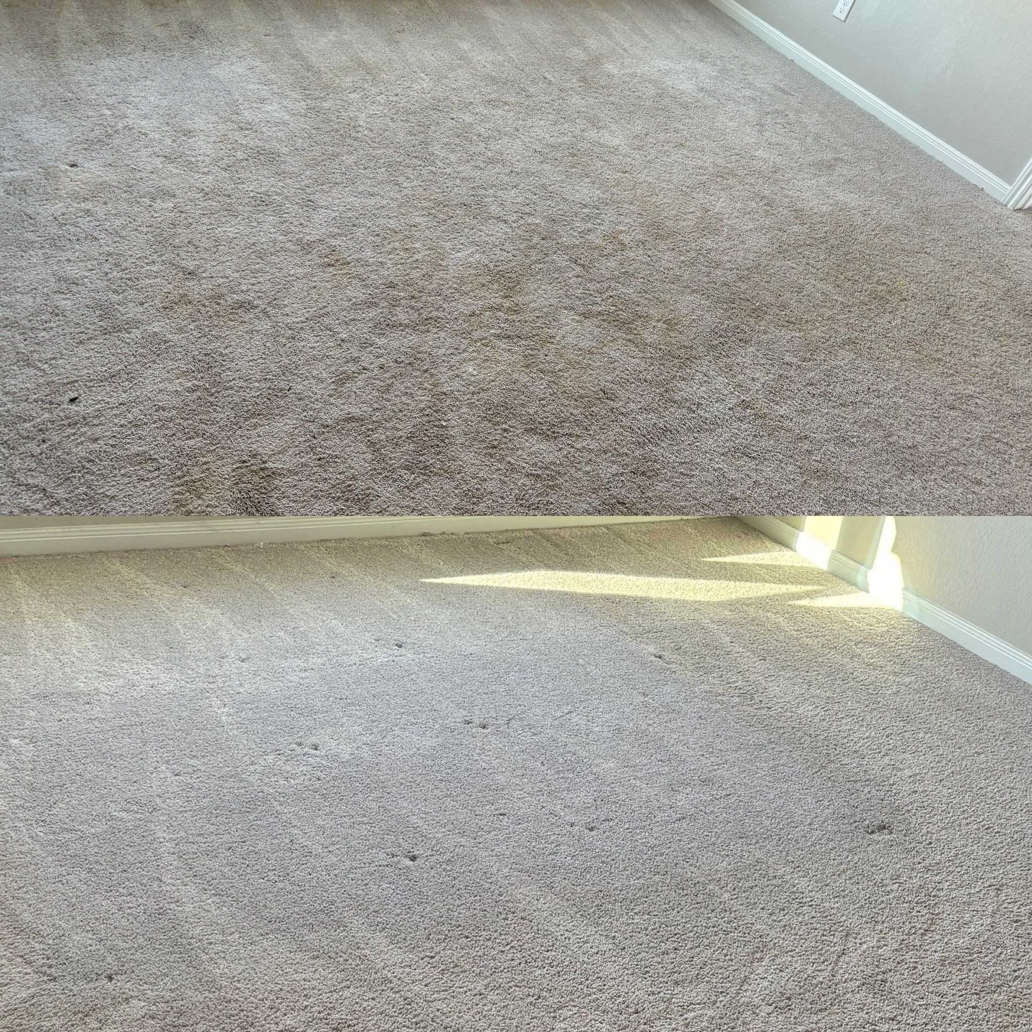 the service shown is carpet cleaning removing dirt and stains from the carpet leaving it fresh and tidy