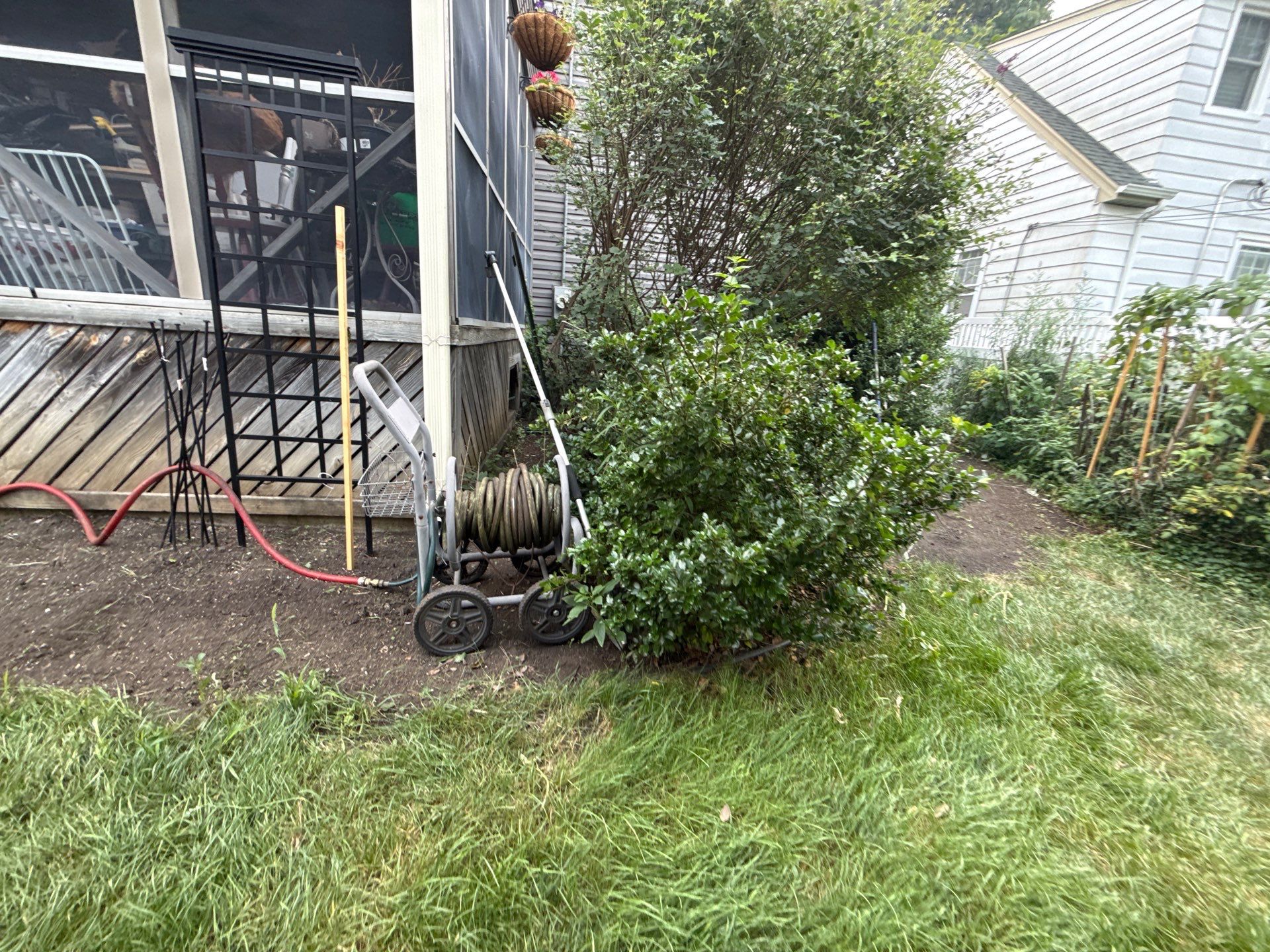 Donna L. - Arlington Heights, IL by A&N