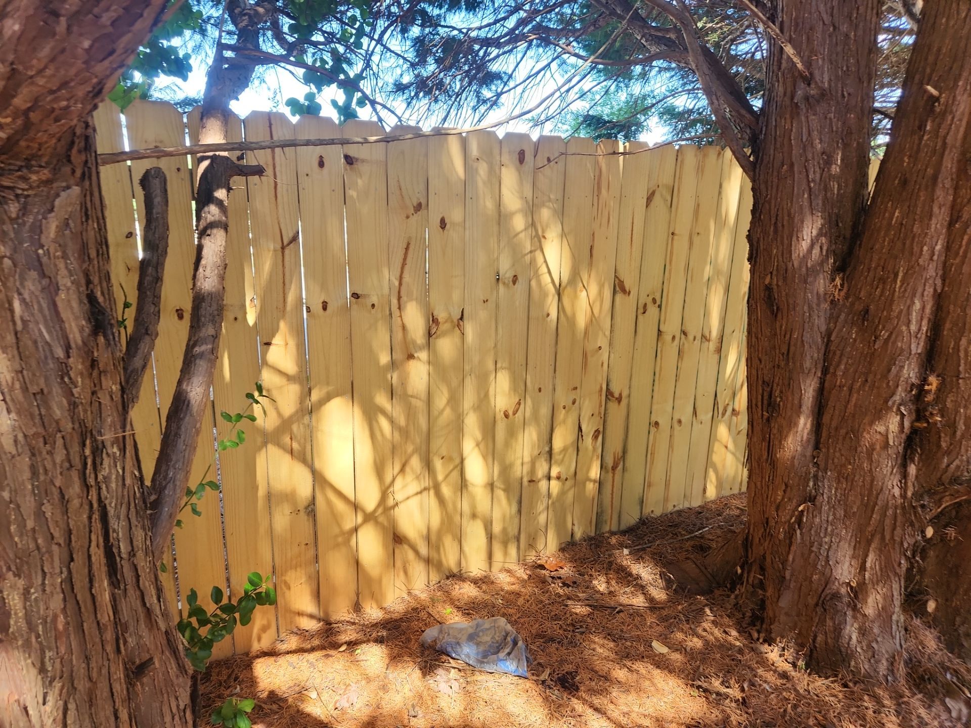 Fence using Wood Sealant by DuraSeal
