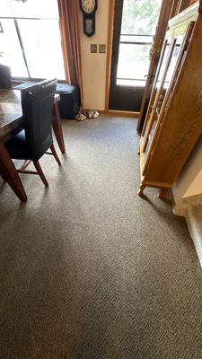 Project in Thornton