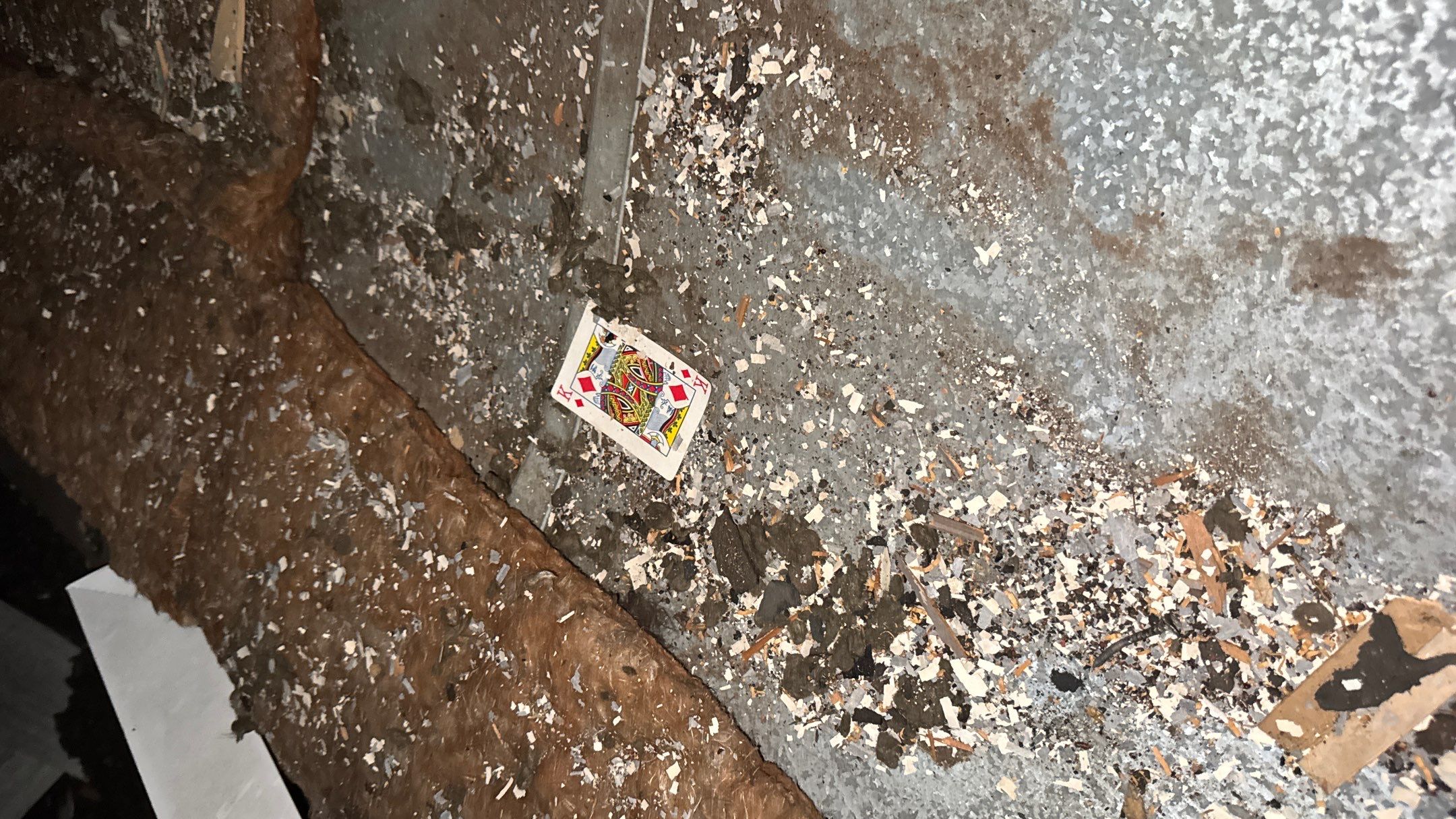 Roof Replacement using Owens Corning Summer Harvest by 180 Contractors