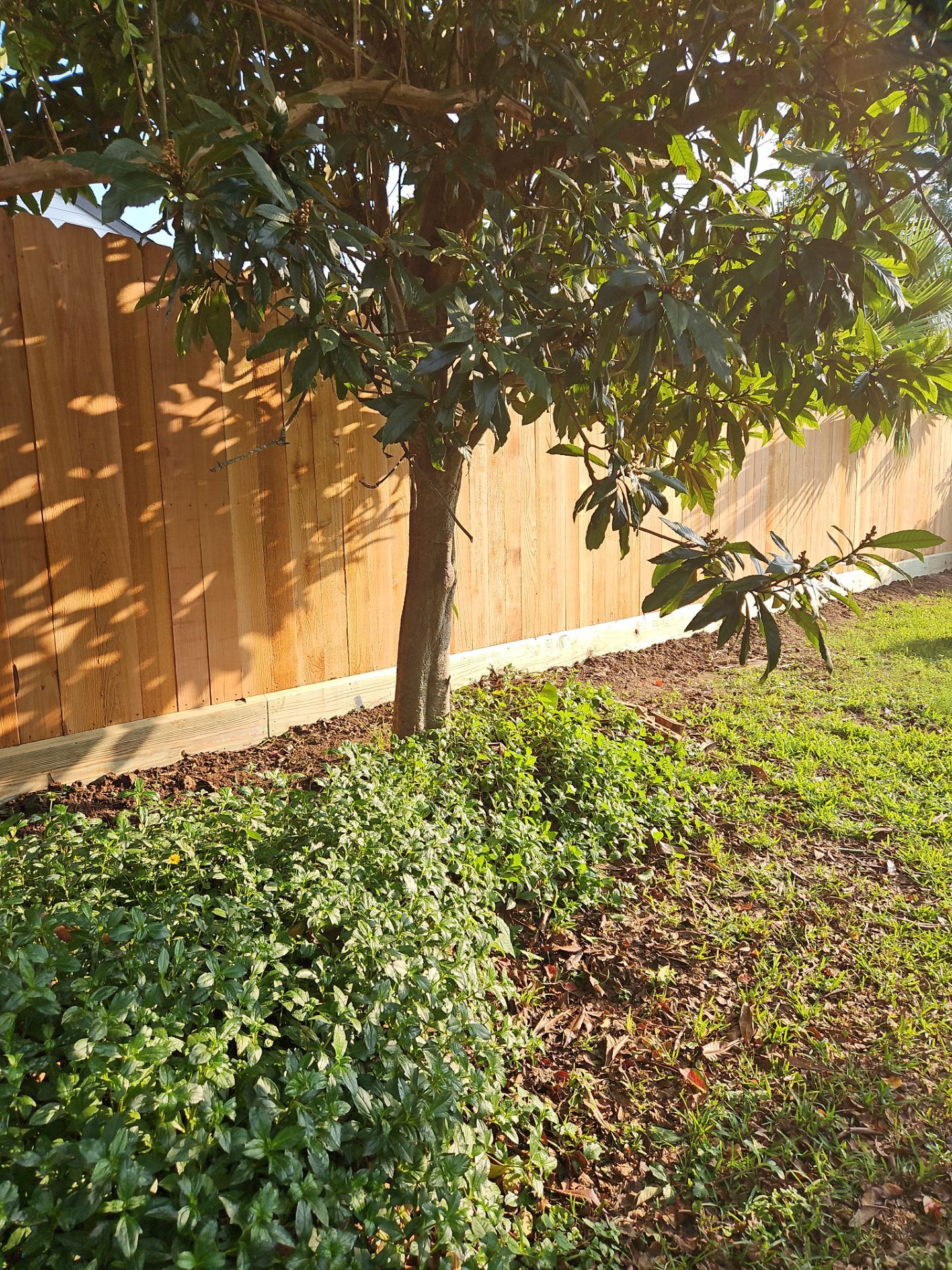 Poolside Perfection by Tim's Fences