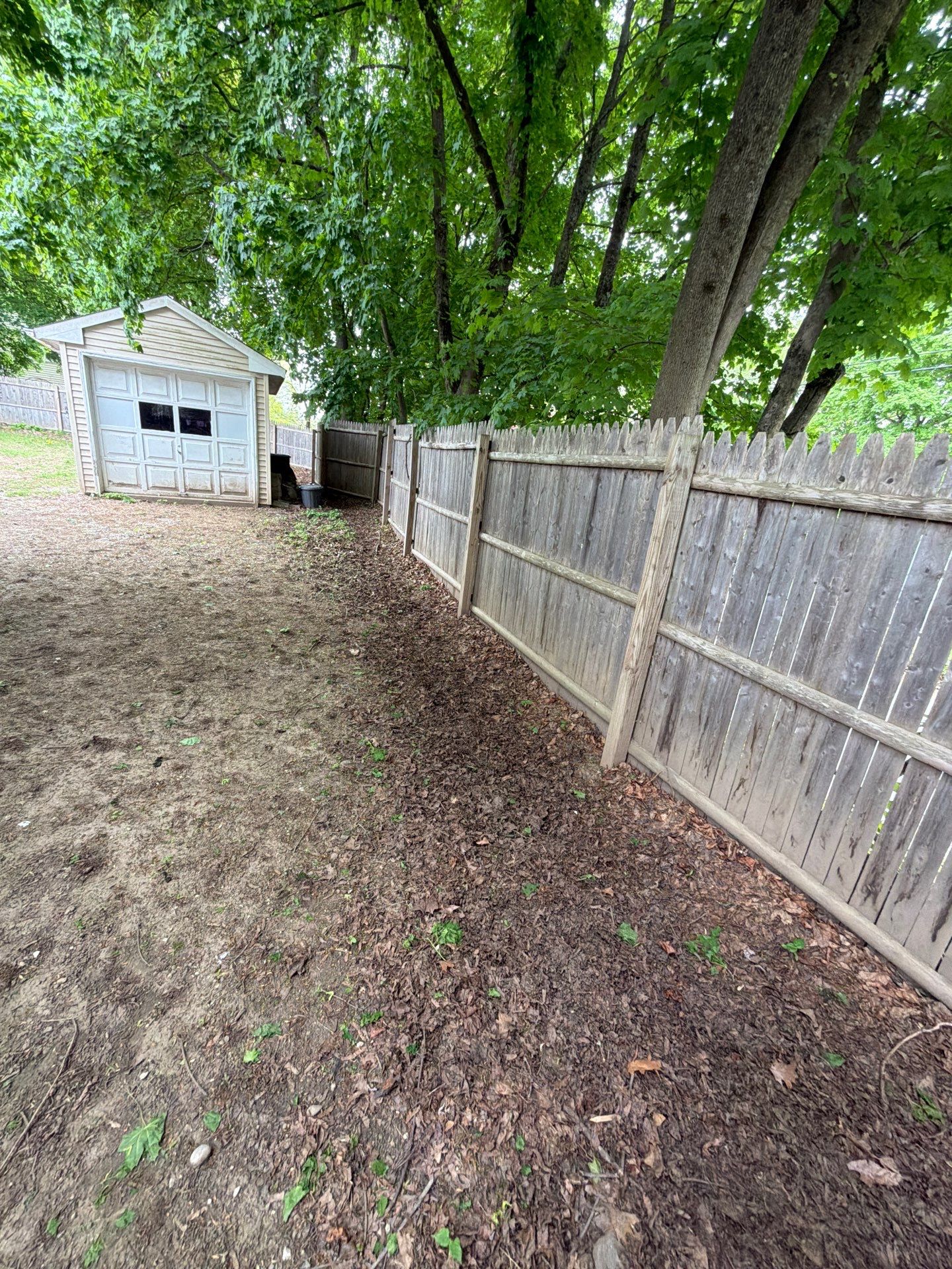 Residential Spring Cleanup and Fence Line Trimming in Seymour by Diamond Image LLC
