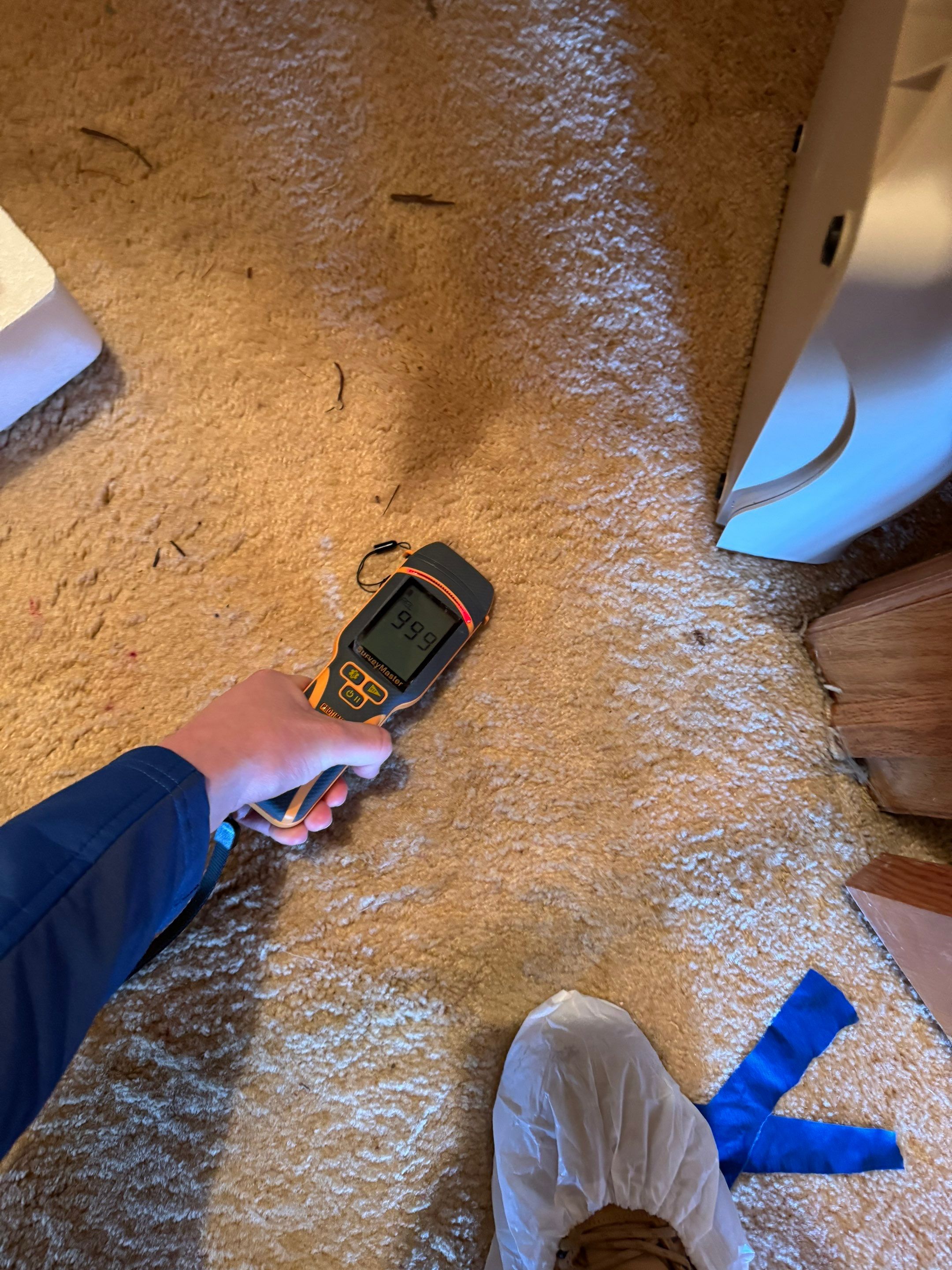 Water Damage in Wheat Ridge, CO by Alpha Restoration 