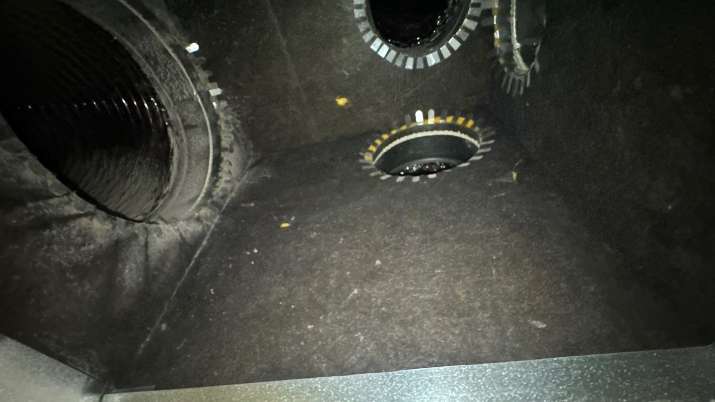 Dirty Air Duct Cleaning in Clermont by Hygienic Air, Inc