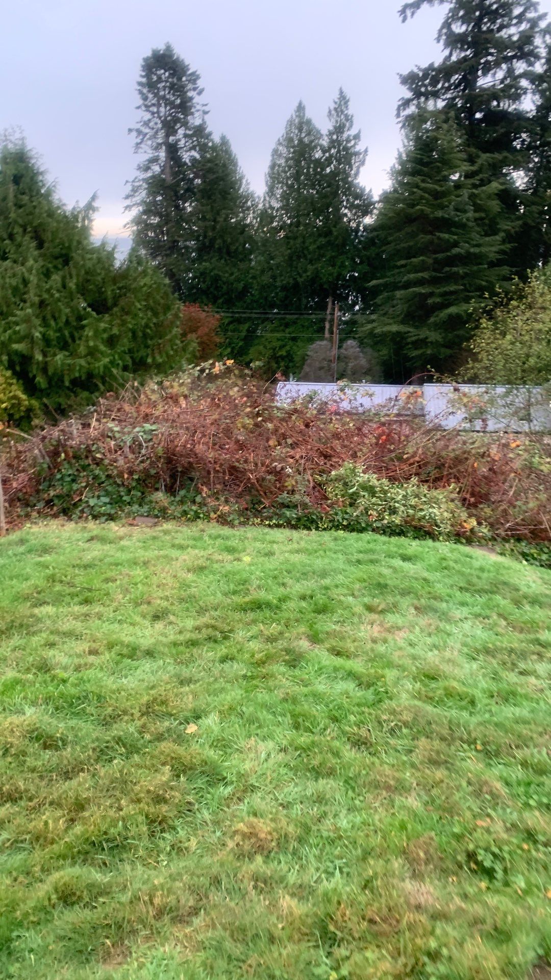 Sport Court |  Port Orchard by Jireh Asphalt & Concrete Inc 