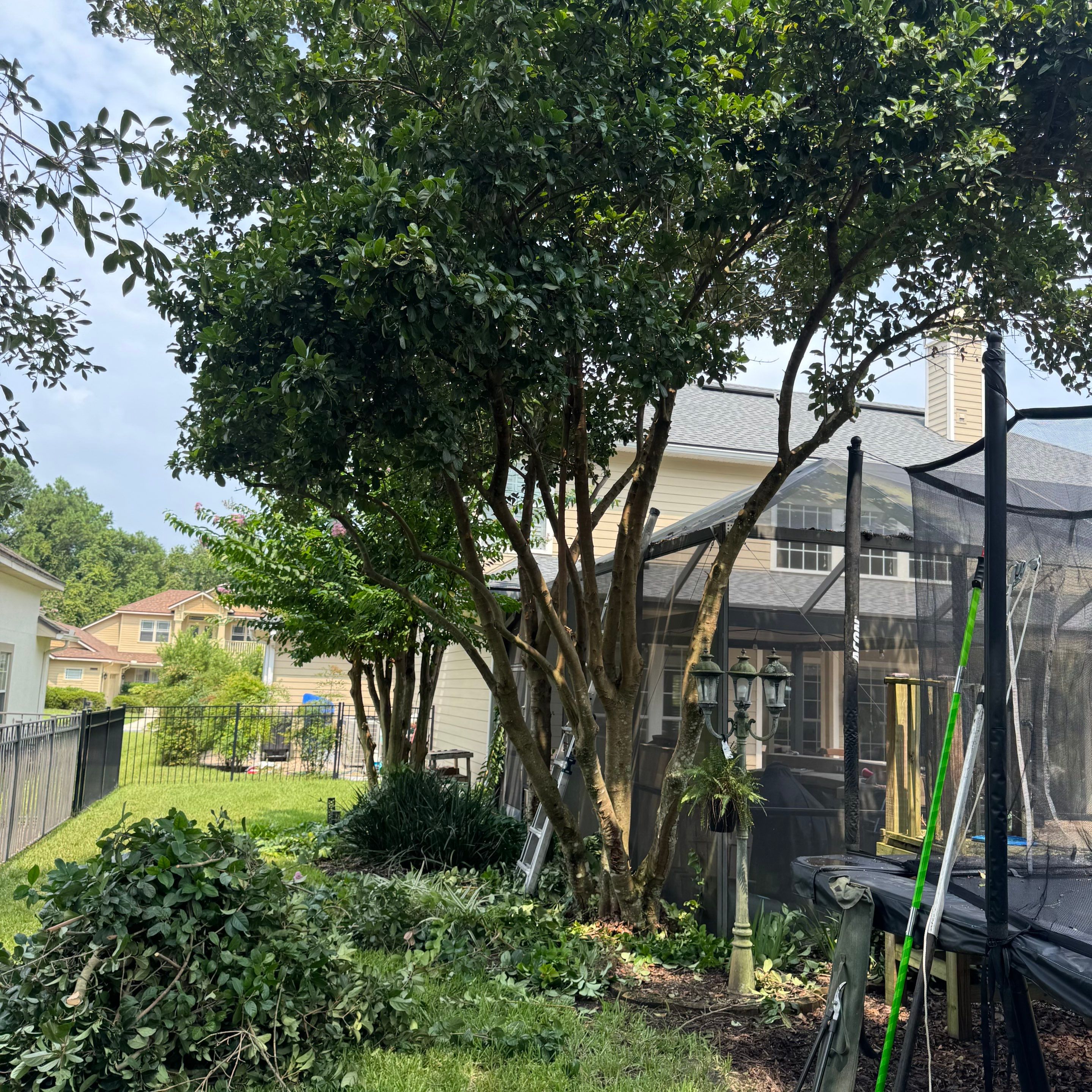 Residential | Sod Installation & Tree Trimming by ProGreen Services