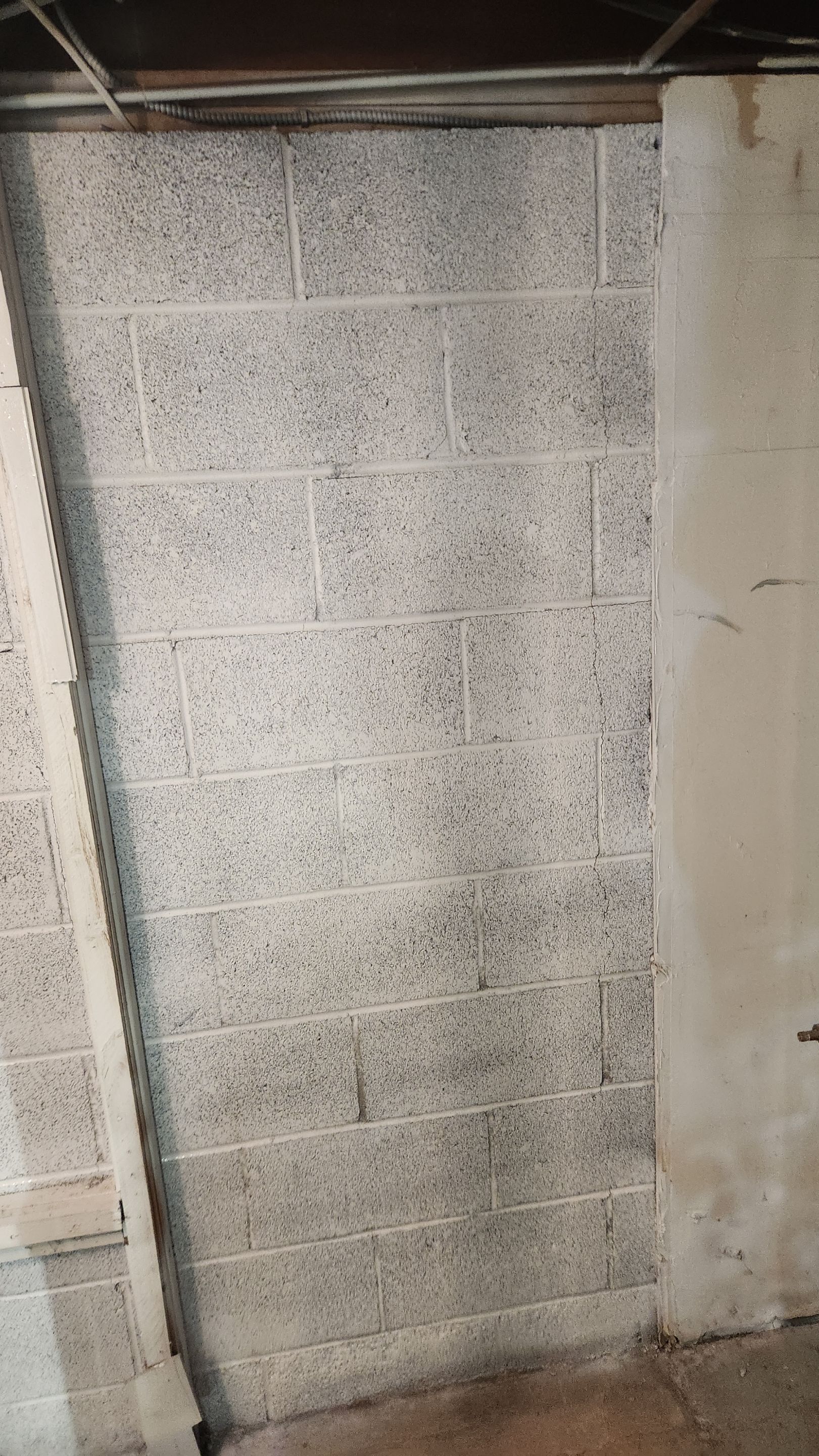 Interior French Drain & Mold Remediation Project in Manville, New Jersey by Pure Service Pro, LLC 