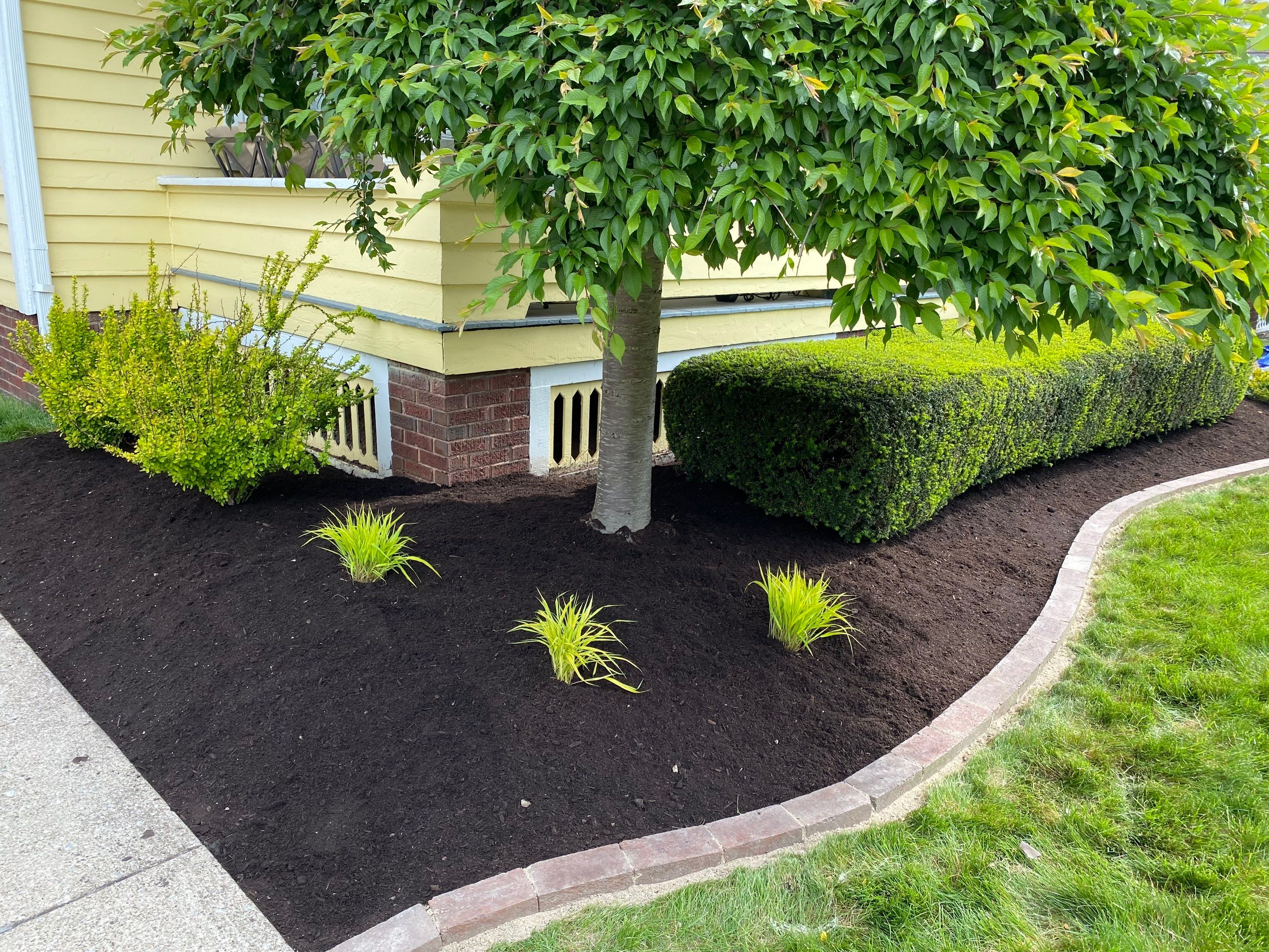Hardscape Boarder Install by Elm Rose Gardens