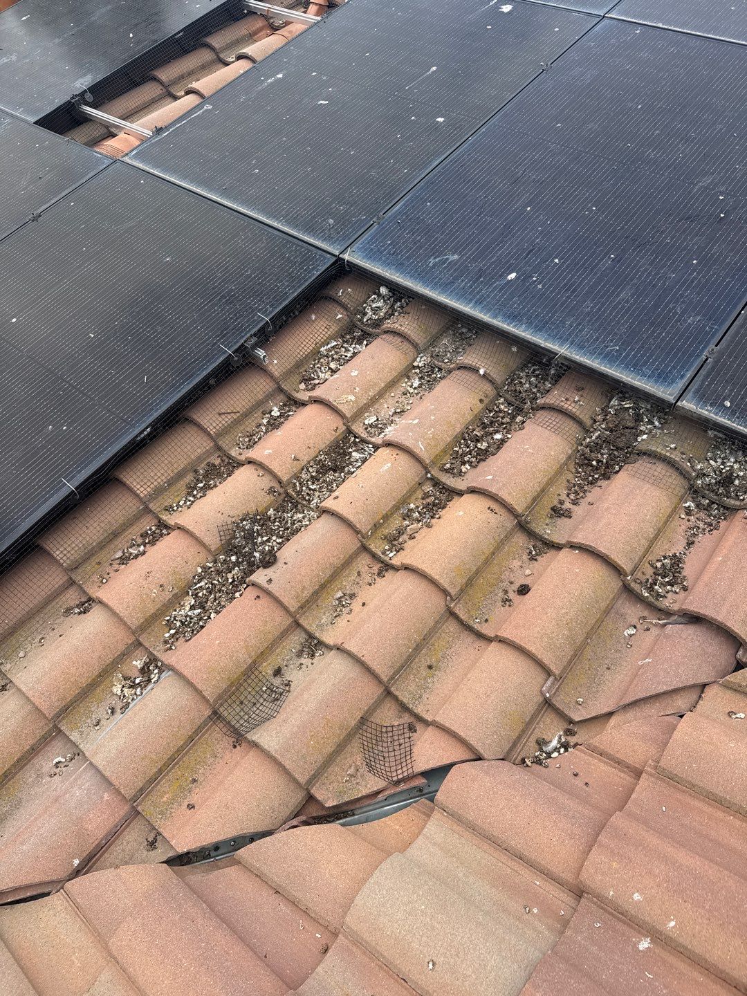 Project in Morgan Hill, CA by All One Solar Shine