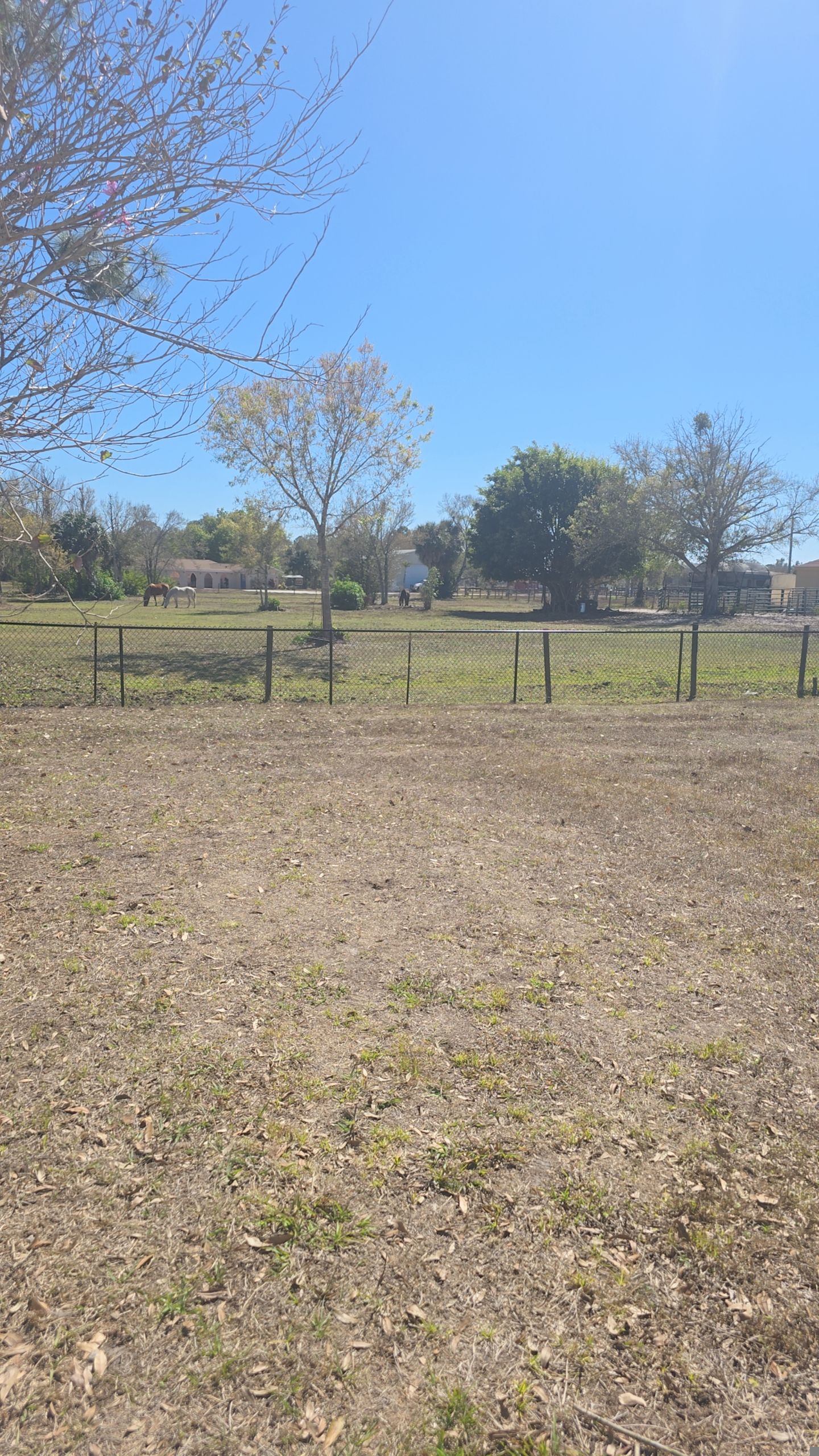 Chain Link Fence in Punta Gorda by True Fence LLC