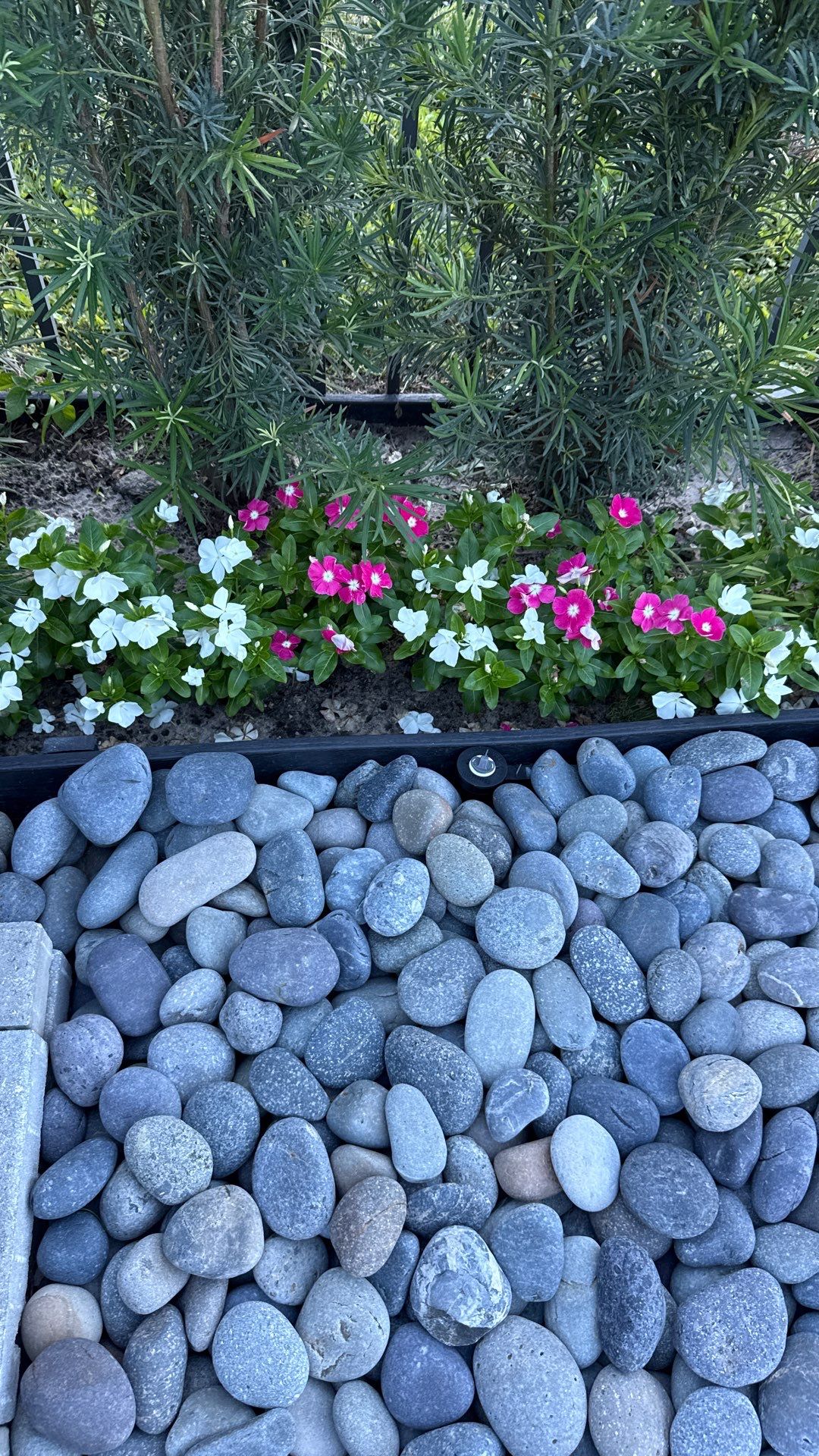 Project in Parkland by Green Image Landscaping & Tree Service