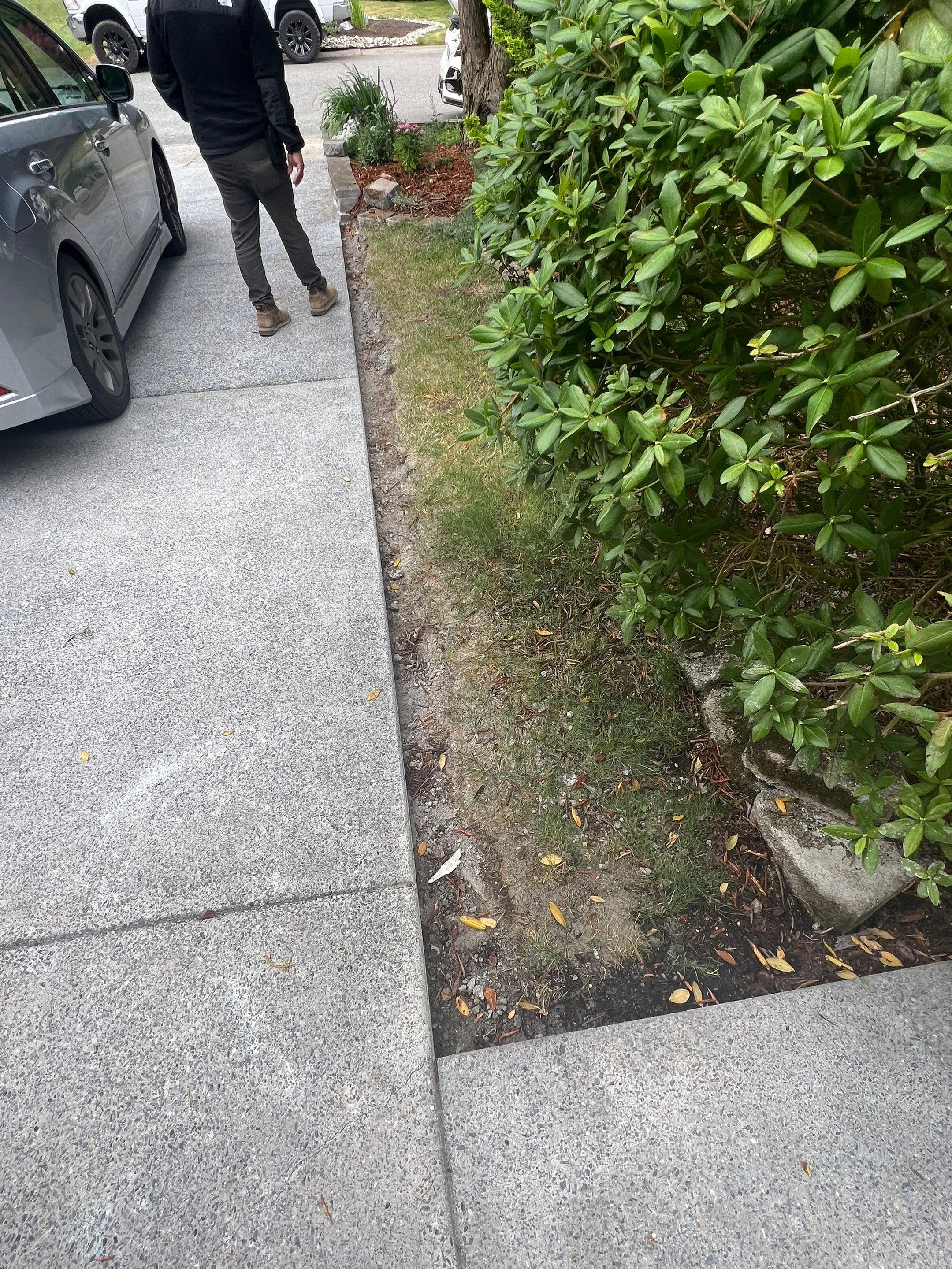 Joan | Concrete Driveway & Walkway   by Jireh Asphalt & Concrete Inc 