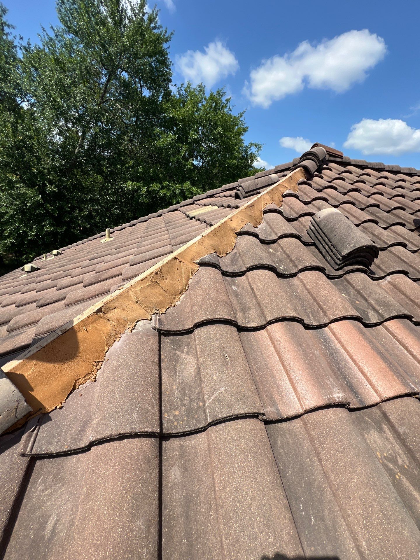 Roof Repair Spring by Roof Repair Company