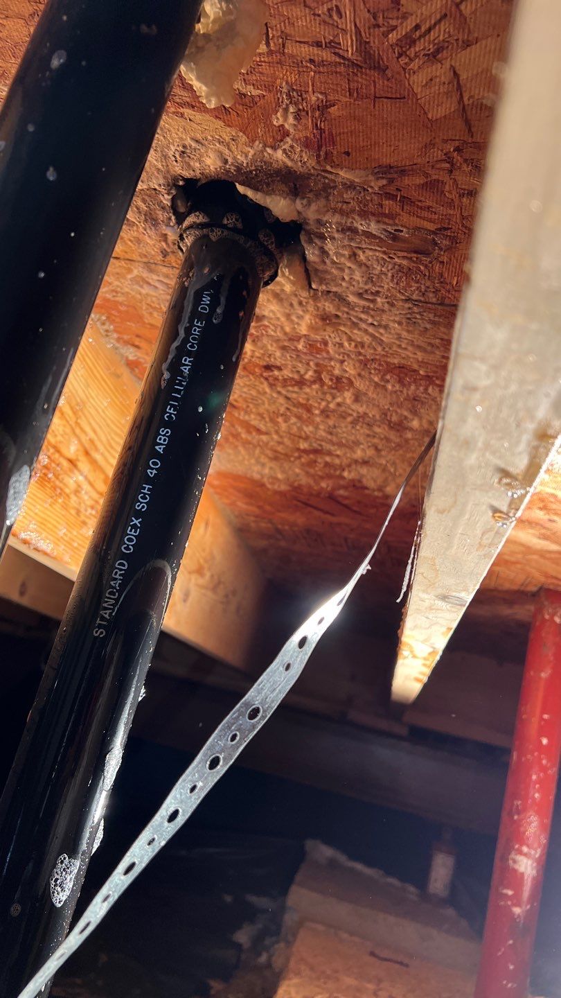 Mold Damage by Accountable Home Services