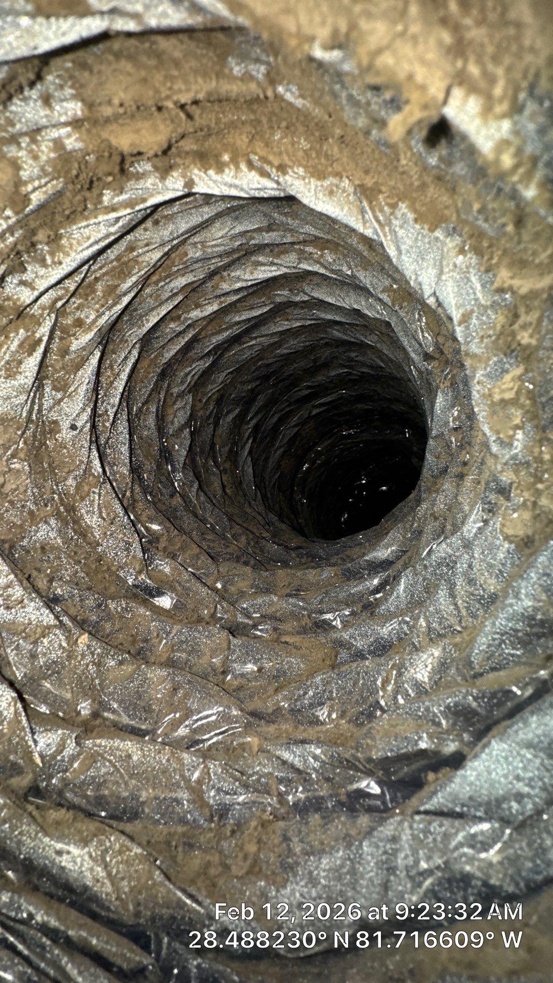 Air Duct Dryer Vent Cleaning in Clermont by Hygienic Air, Inc